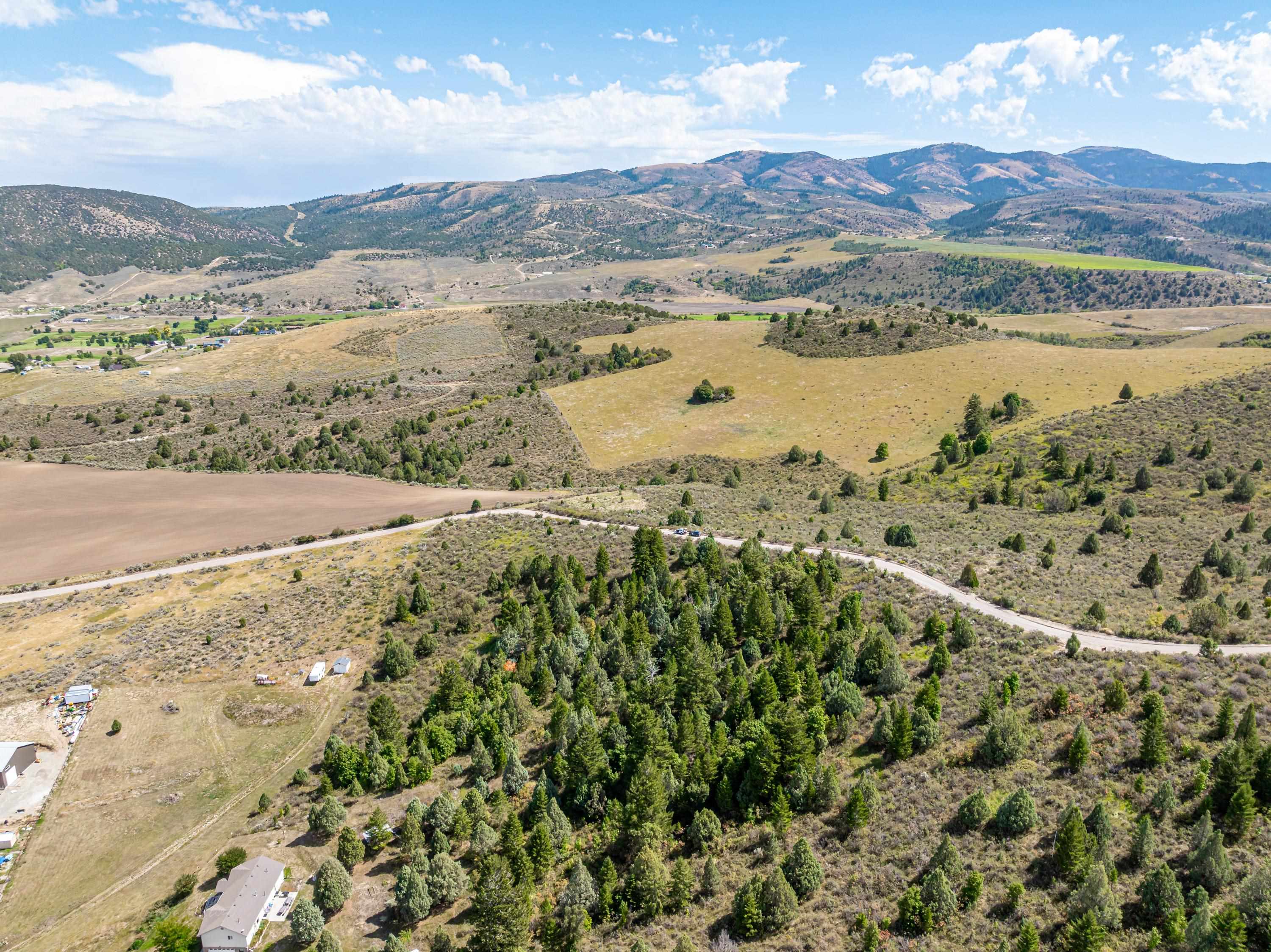 TBD Moose Hollow Rd, Lava Hot Springs, Idaho image 5