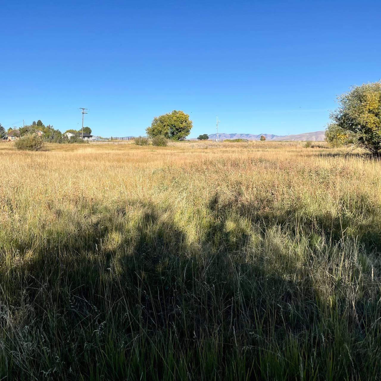 TBD 11.21ac S Us Hwy 89, Bloomington, Idaho image 40