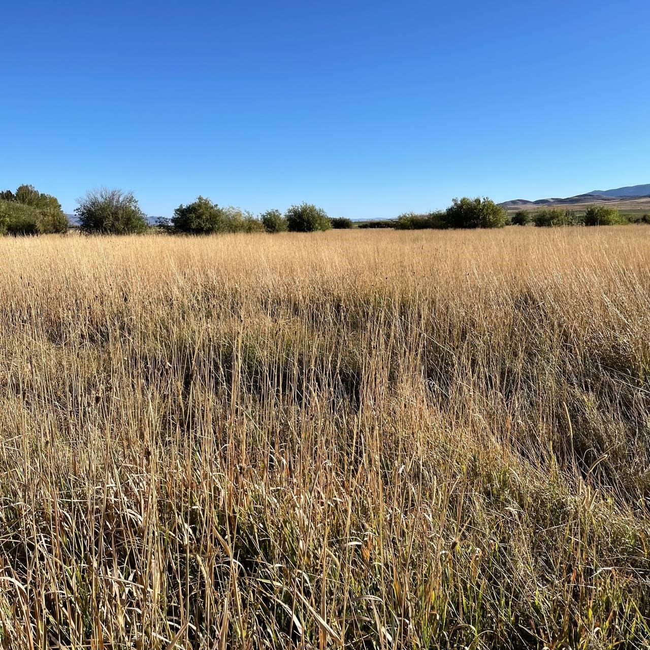 TBD 11.21ac S Us Hwy 89, Bloomington, Idaho image 13