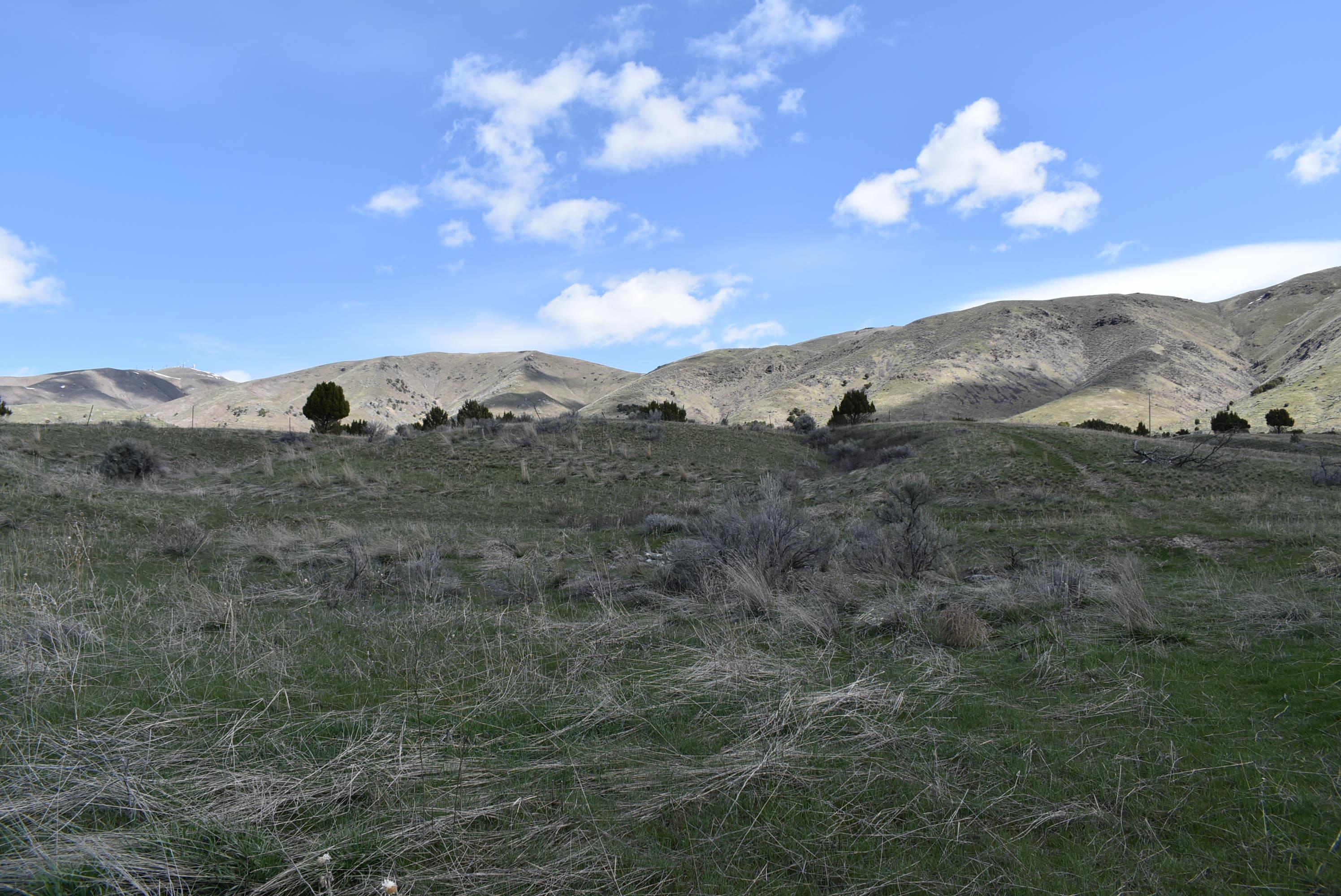 TBD W Katsilometes, Pocatello, Idaho image 3