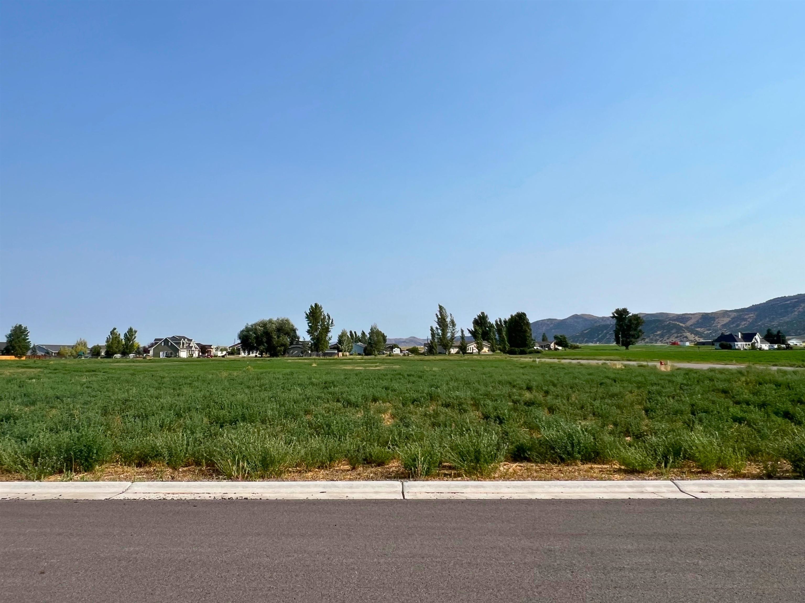 TBD Diane Drive #LOT 39, Grace, Idaho image 5