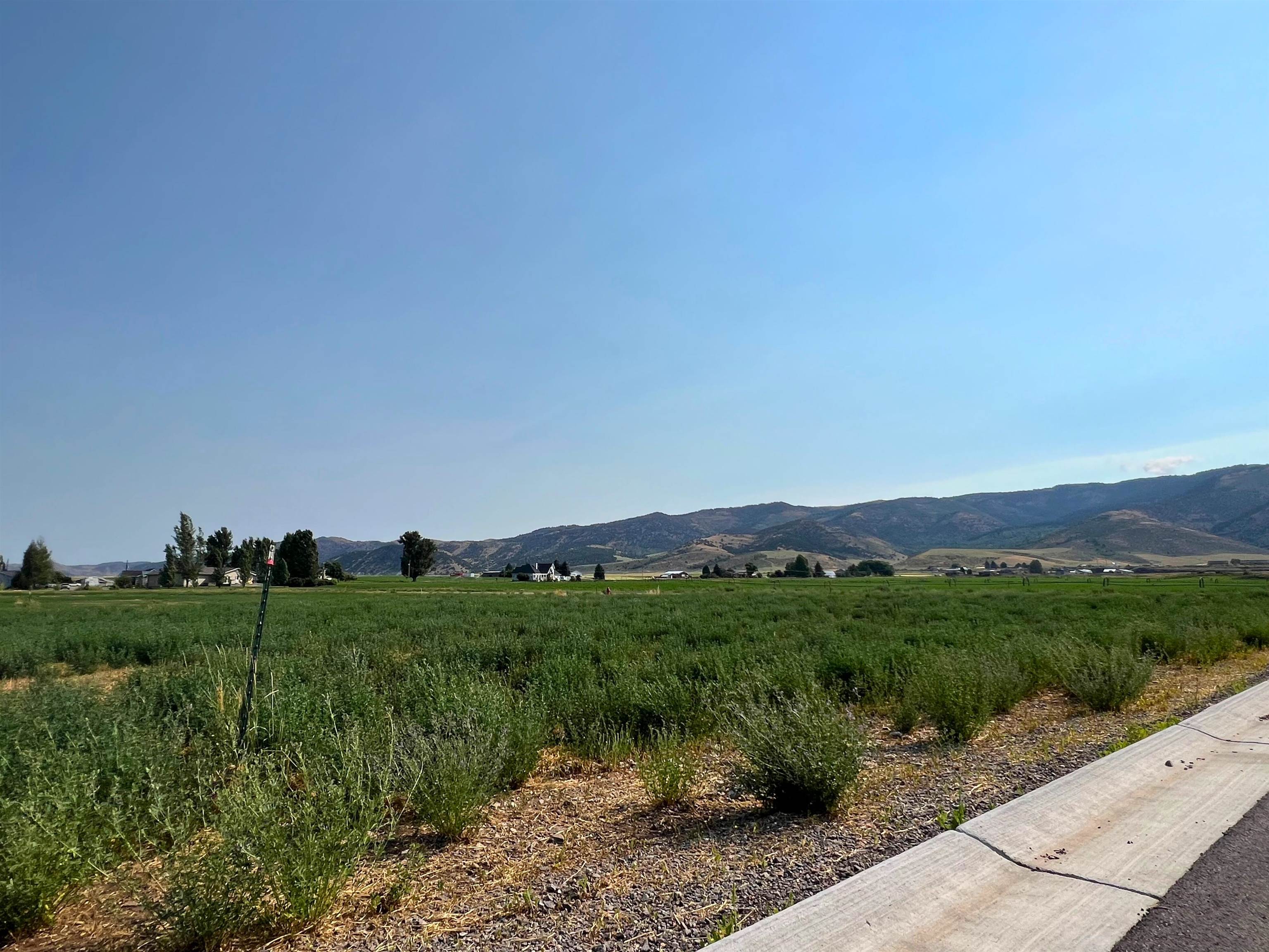 TBD Diane Drive #LOT 39, Grace, Idaho image 3