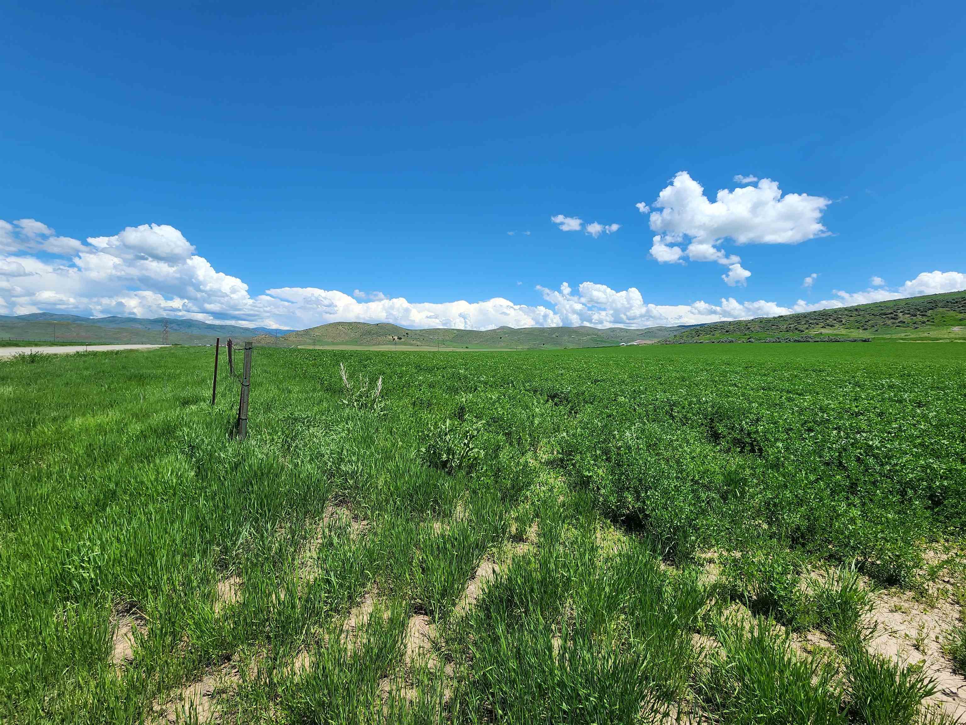 6600 N Hwy 34, Lot 4, Preston, Idaho image 10