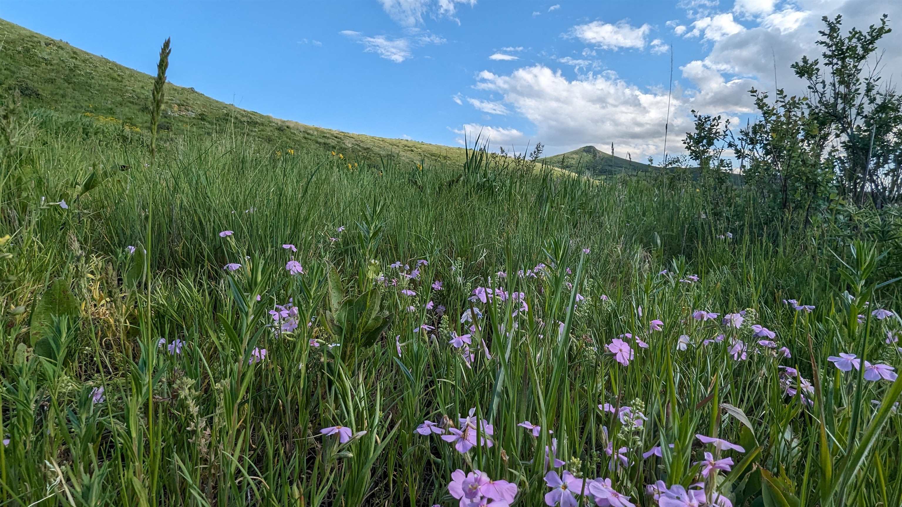 NNA N Hwy 34, Preston, Idaho image 9