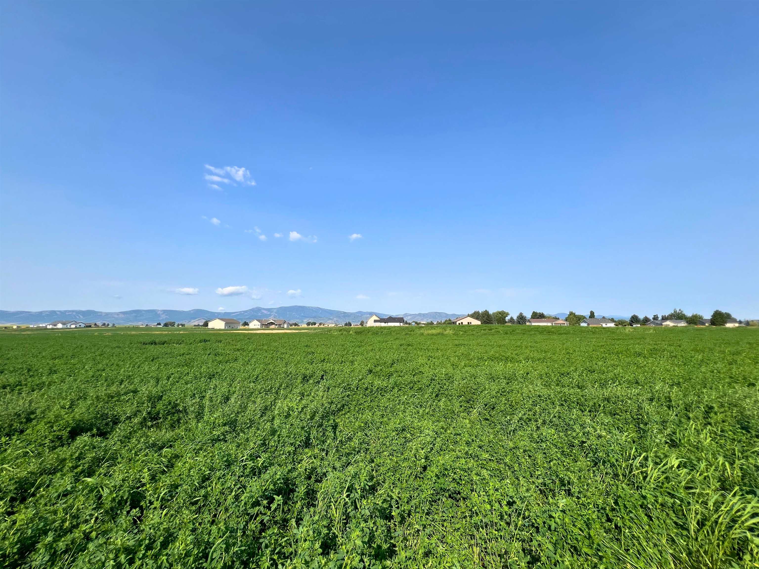 TBD Diane Drive #LOT 19, Grace, Idaho image 2