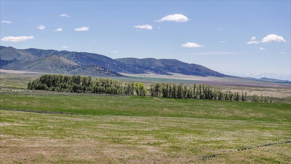 21506 S Race Track Rd, Downey, Idaho image 24