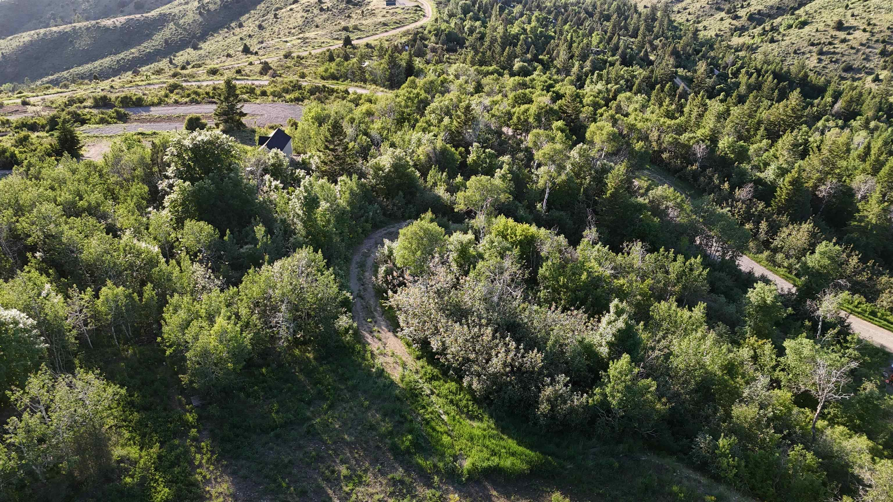 TBD Thunder Mountain Rd, Lava Hot Springs, Idaho image 11