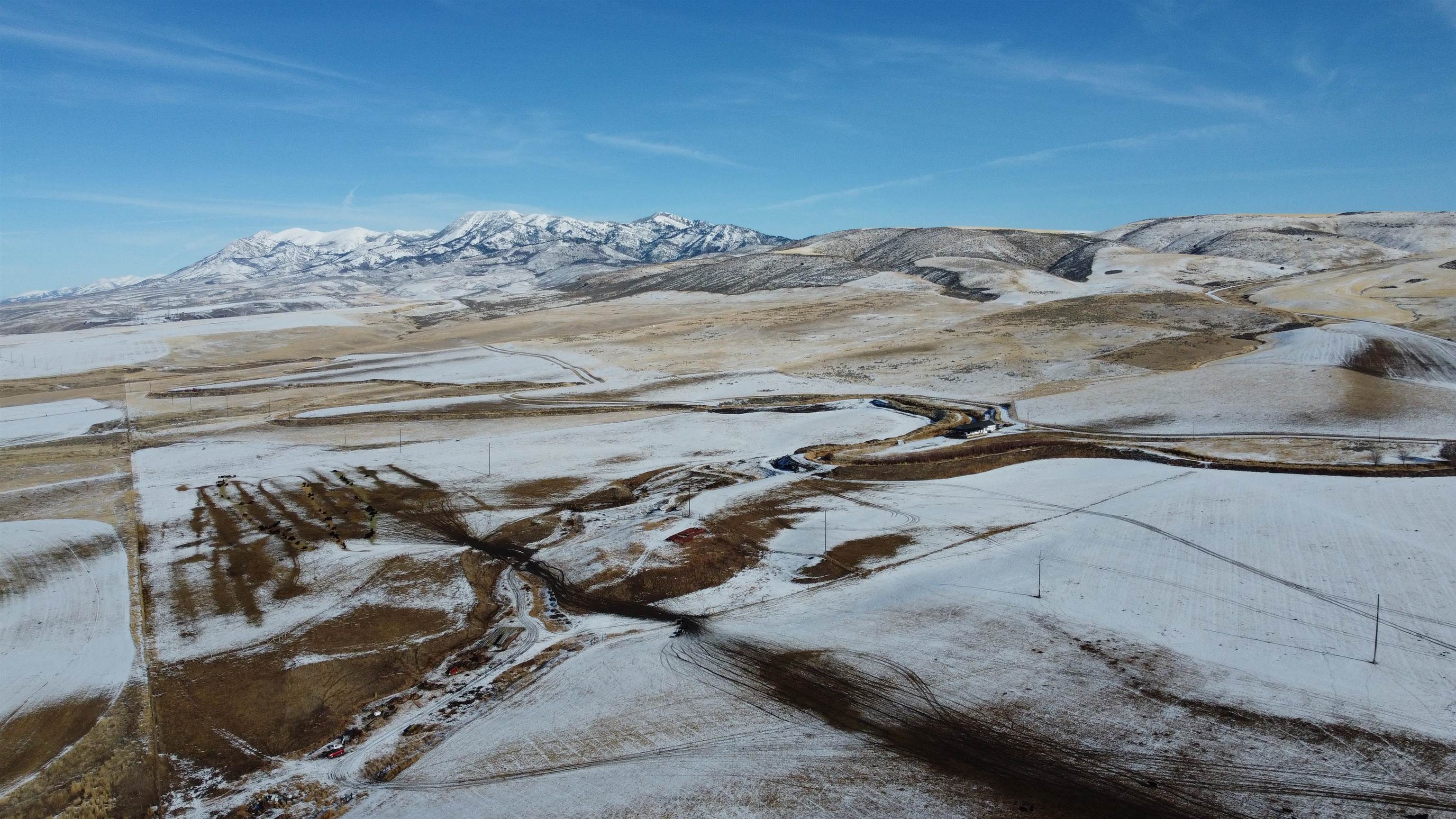 NNA Bareground, Arimo, Idaho image 15