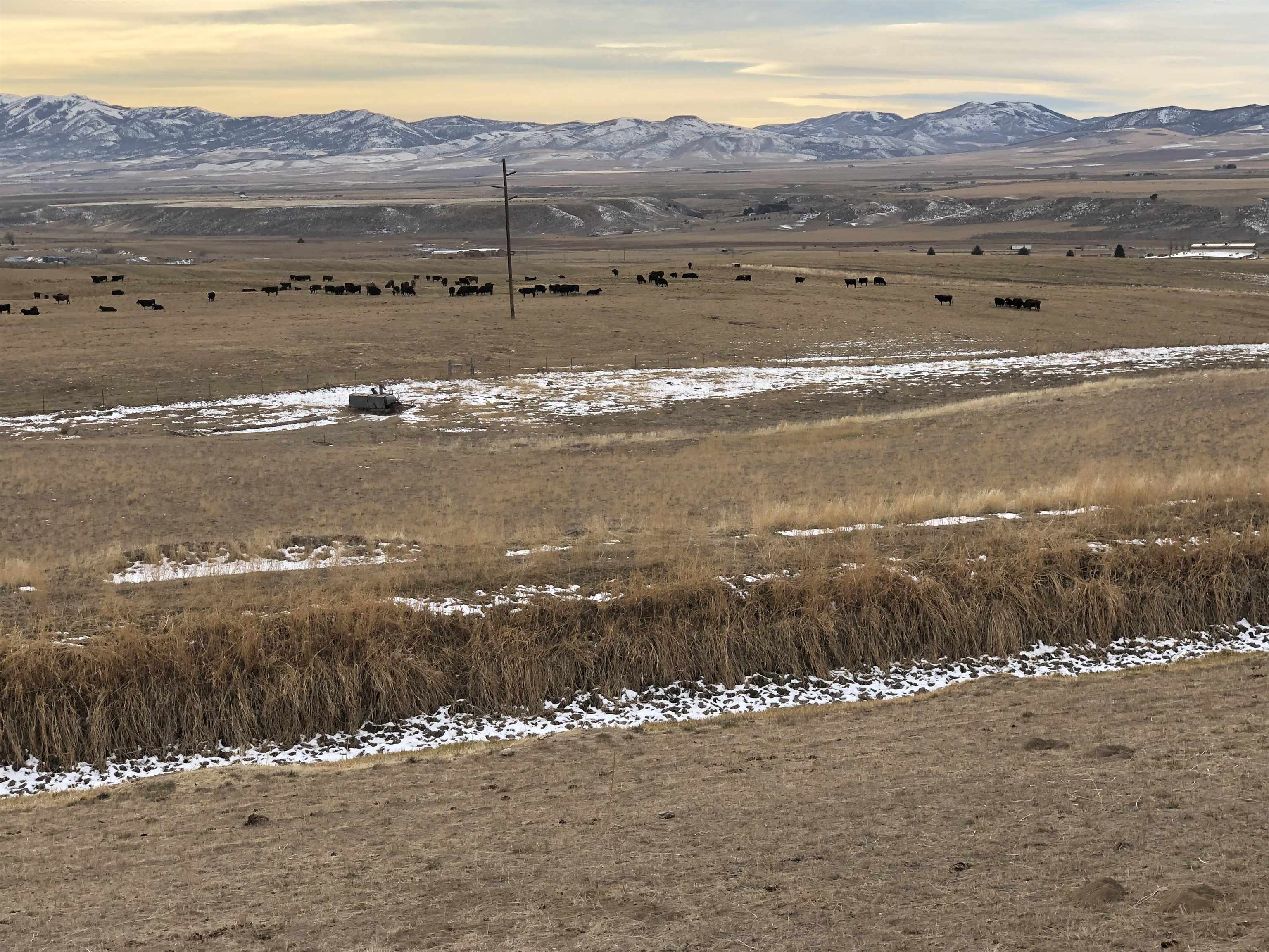 NNA Bareground, Arimo, Idaho image 7