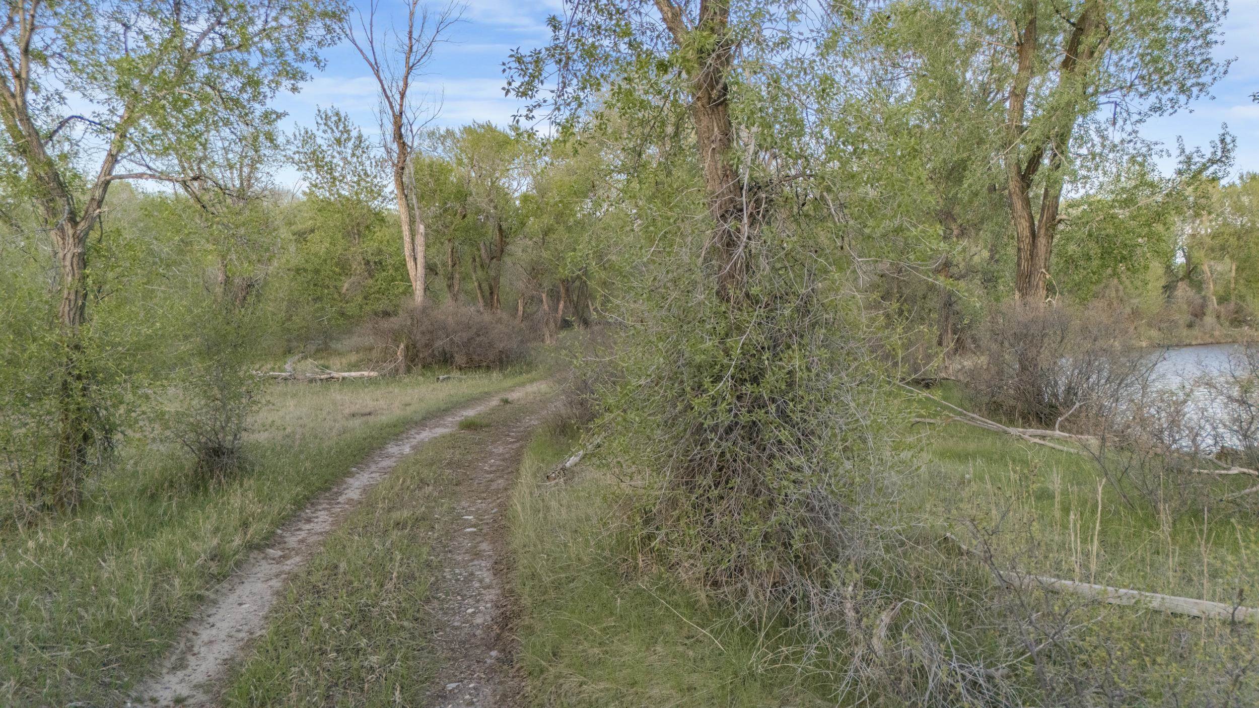 Tbd N 4200 E, Rigby, Idaho image 7
