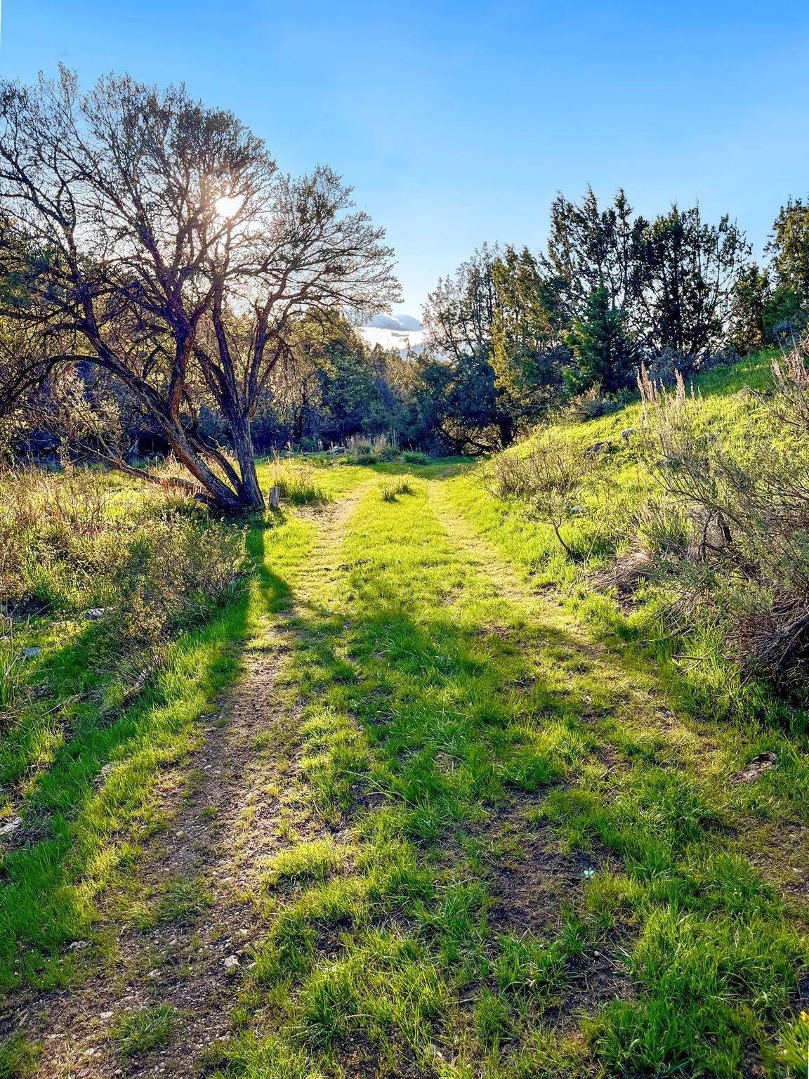 TBD Chatterton Road, Arimo, Idaho image 14