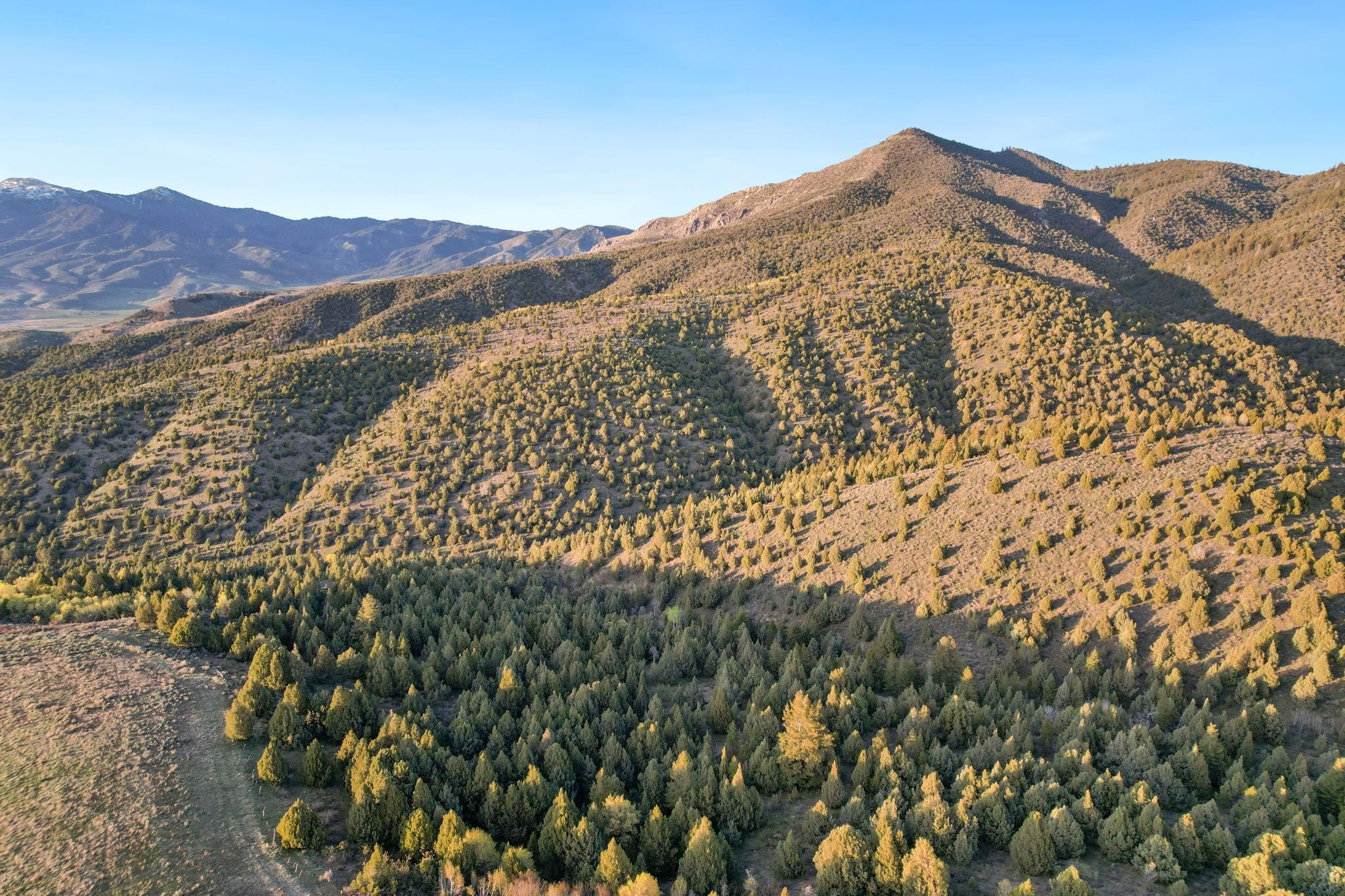 TBD Chatterton Road, Arimo, Idaho image 18