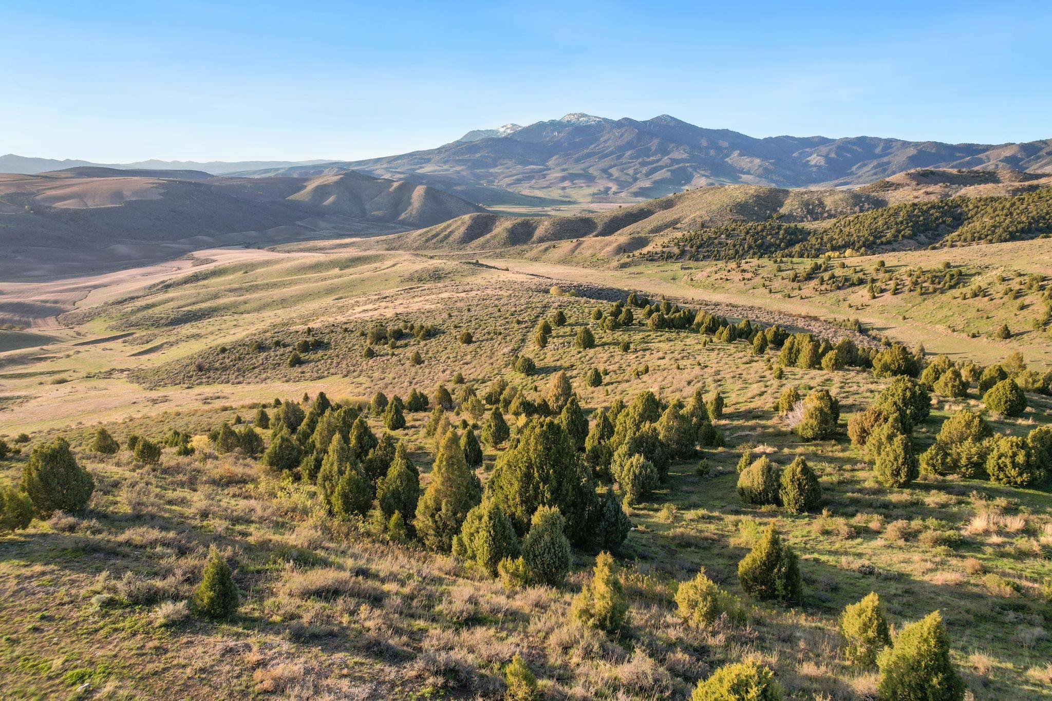 TBD Chatterton Road, Arimo, Idaho image 6