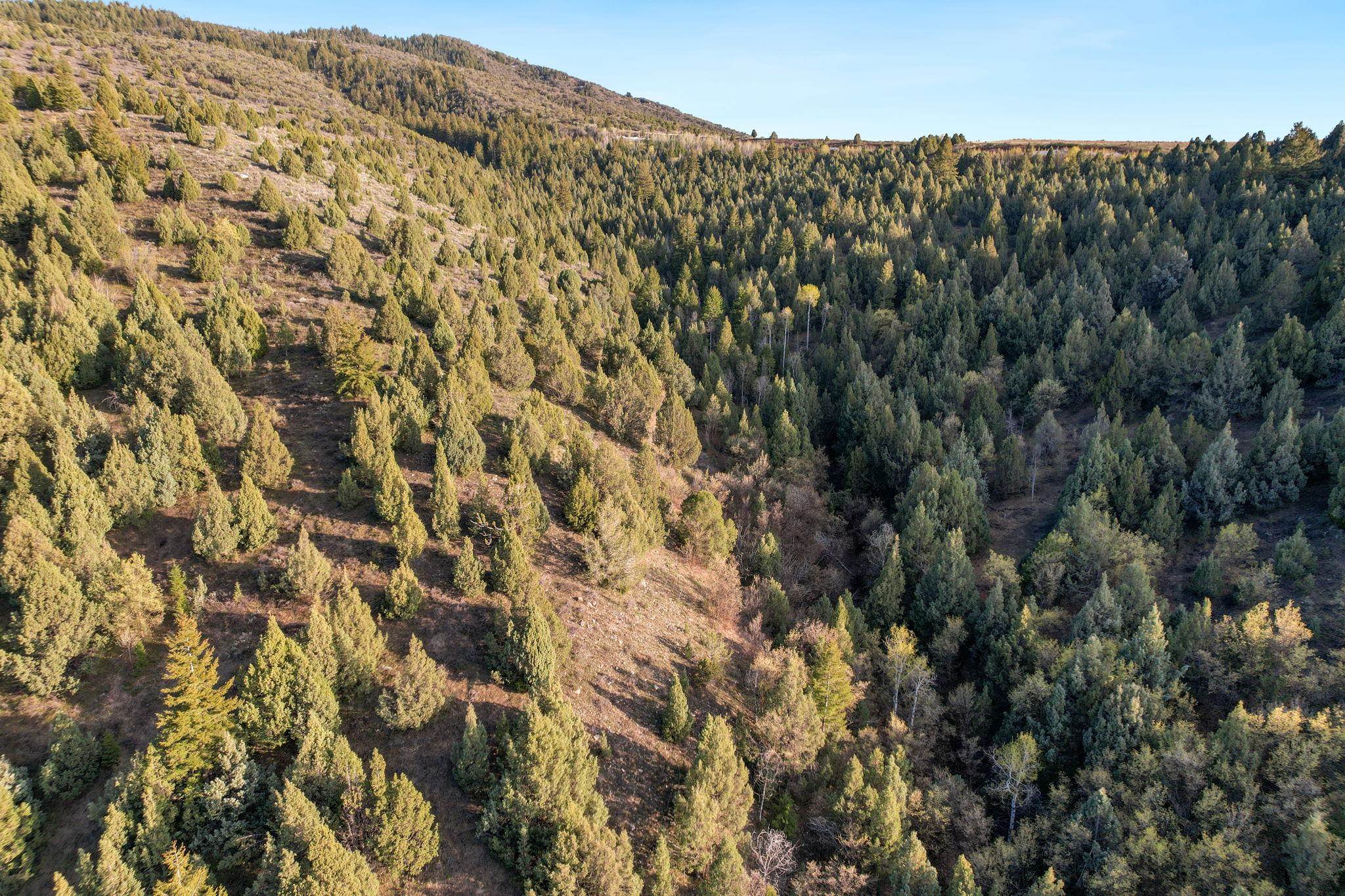 TBD Chatterton Road, Arimo, Idaho image 17