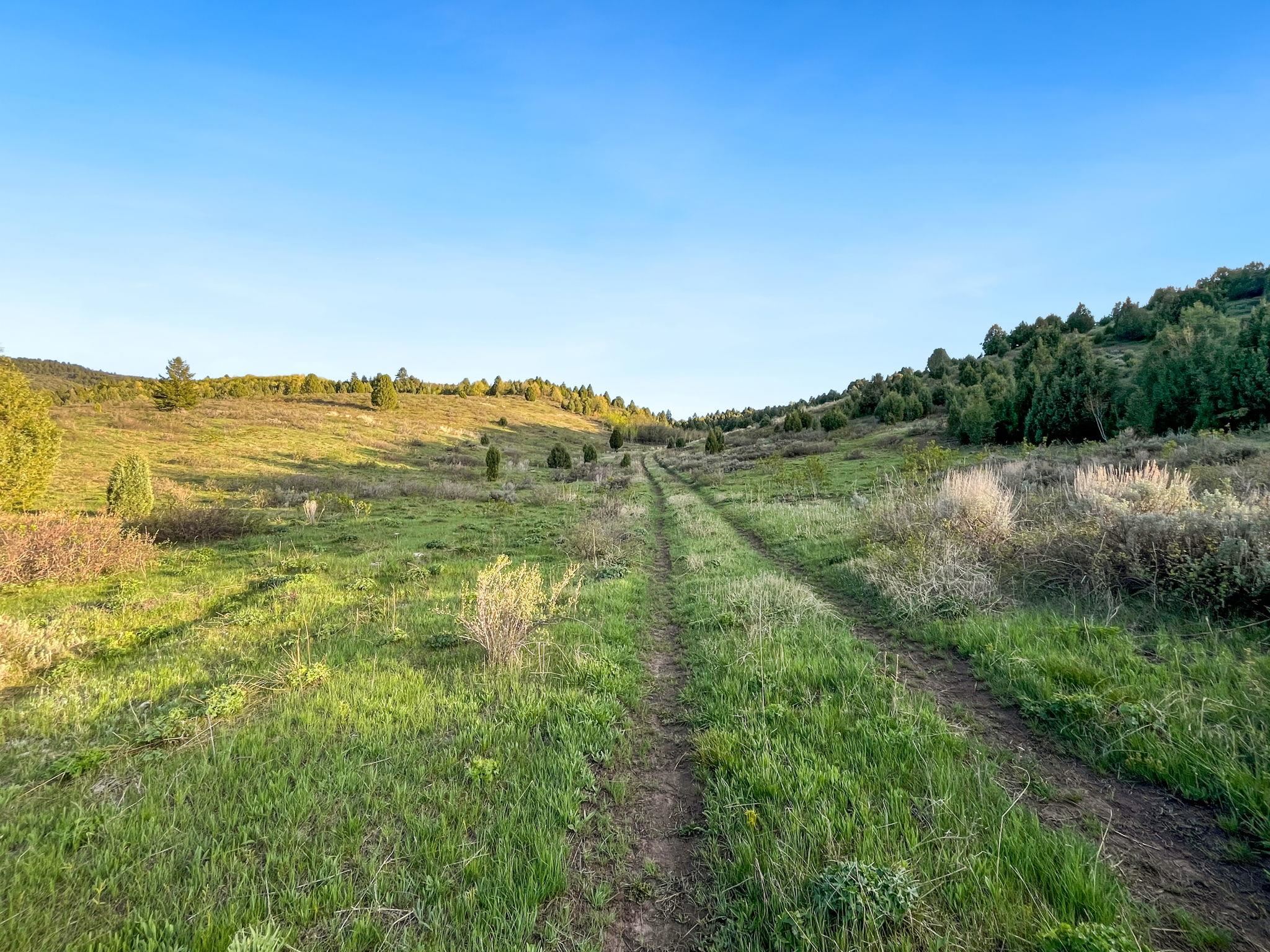 TBD Chatterton Road, Arimo, Idaho image 26
