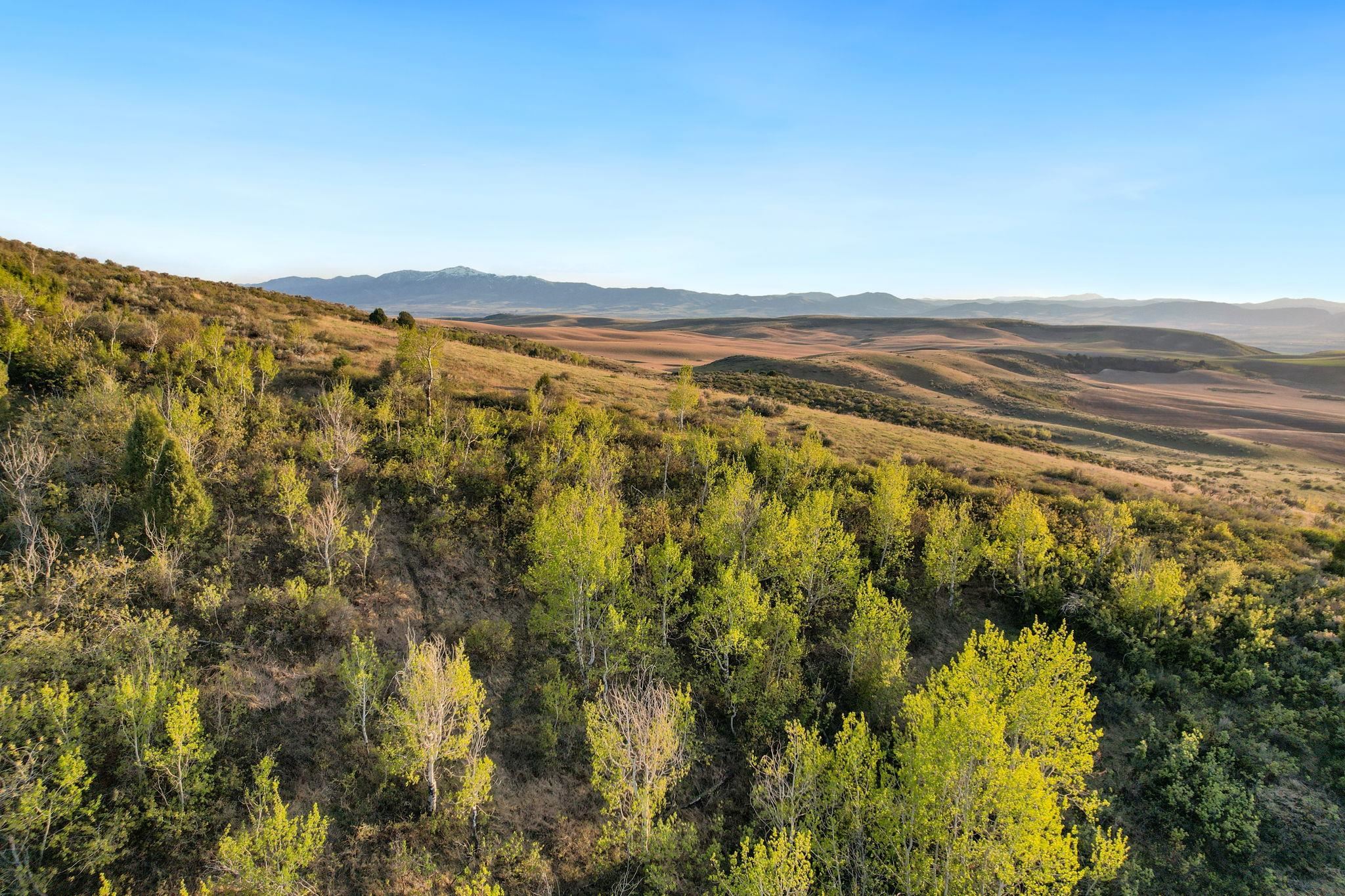 TBD Chatterton Road, Arimo, Idaho image 4