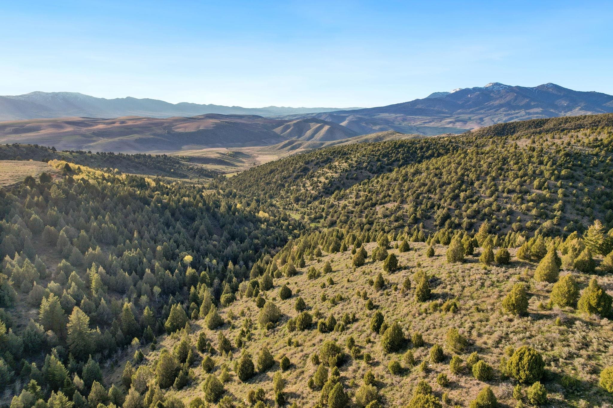 TBD Chatterton Road, Arimo, Idaho image 25