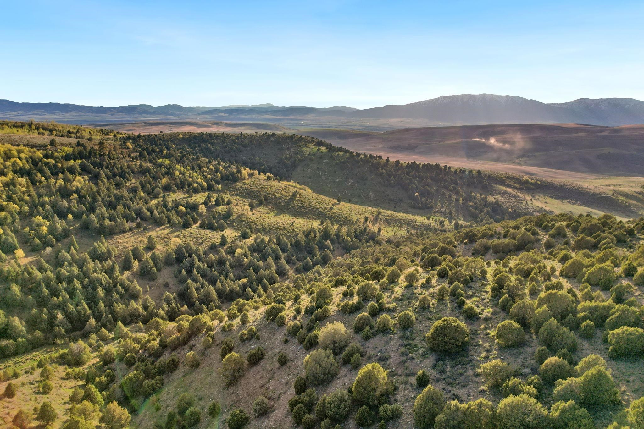 TBD Chatterton Road, Arimo, Idaho image 24