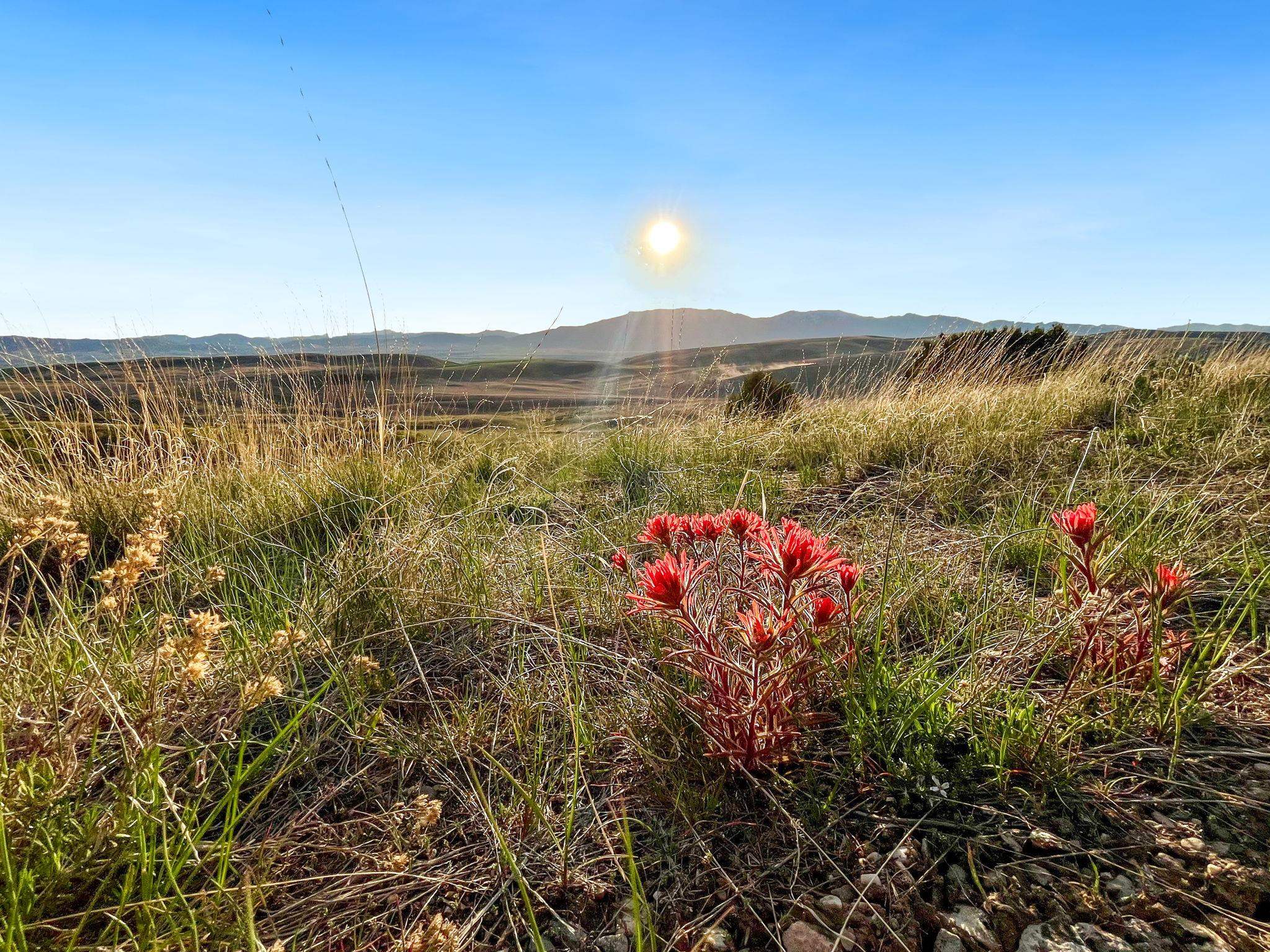 TBD Chatterton Road, Arimo, Idaho image 27