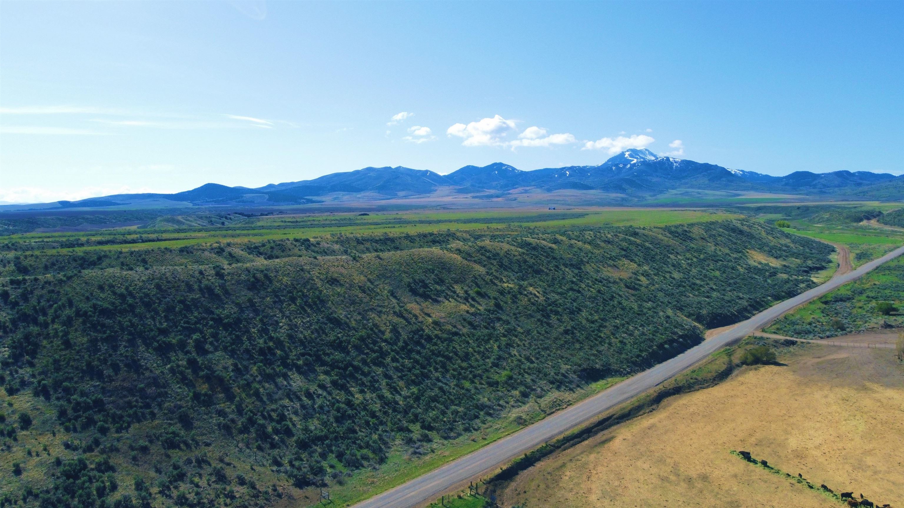 TBD A Cherry Creek, Downey, Idaho image 9