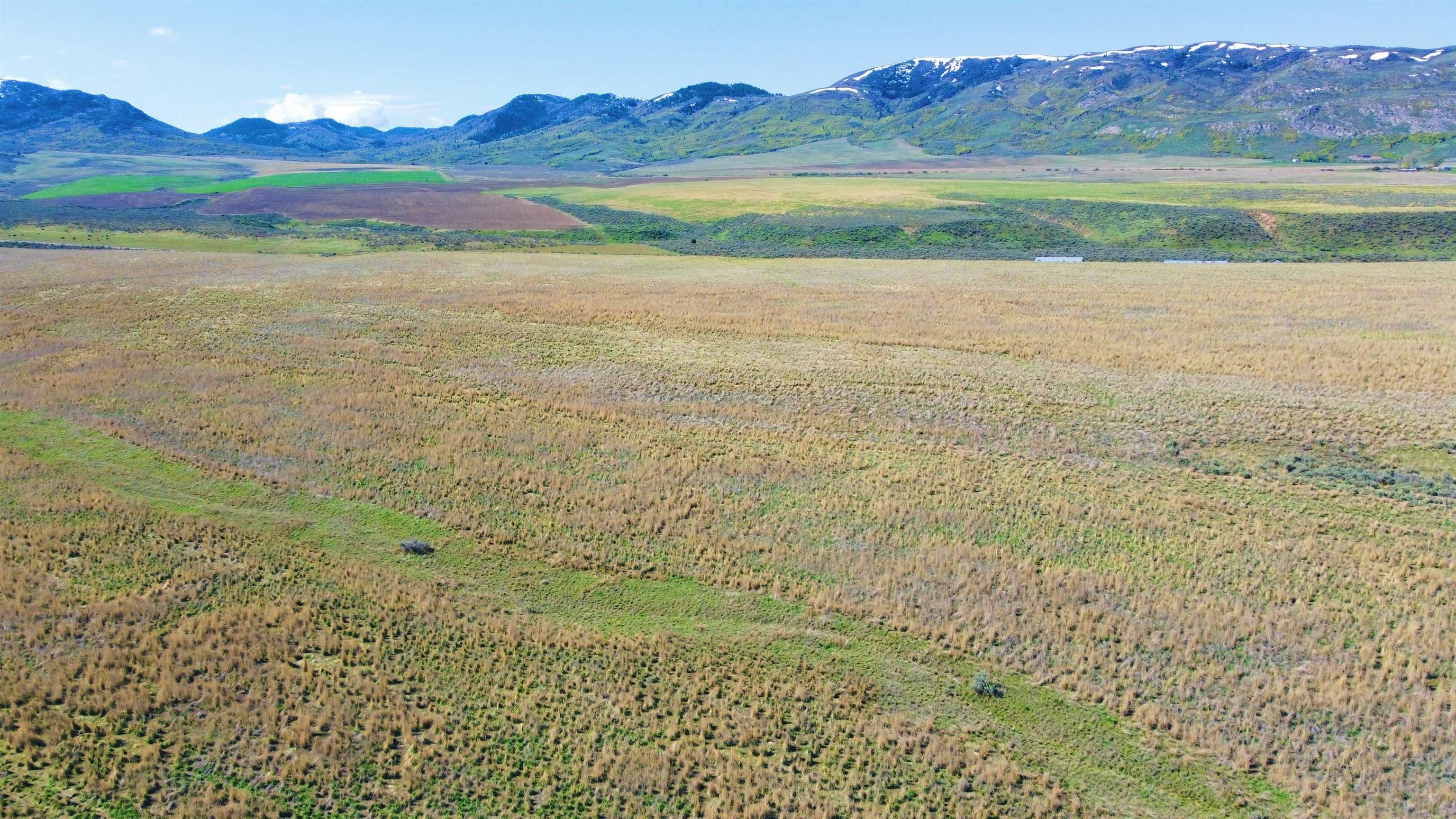 TBD A Cherry Creek, Downey, Idaho image 11