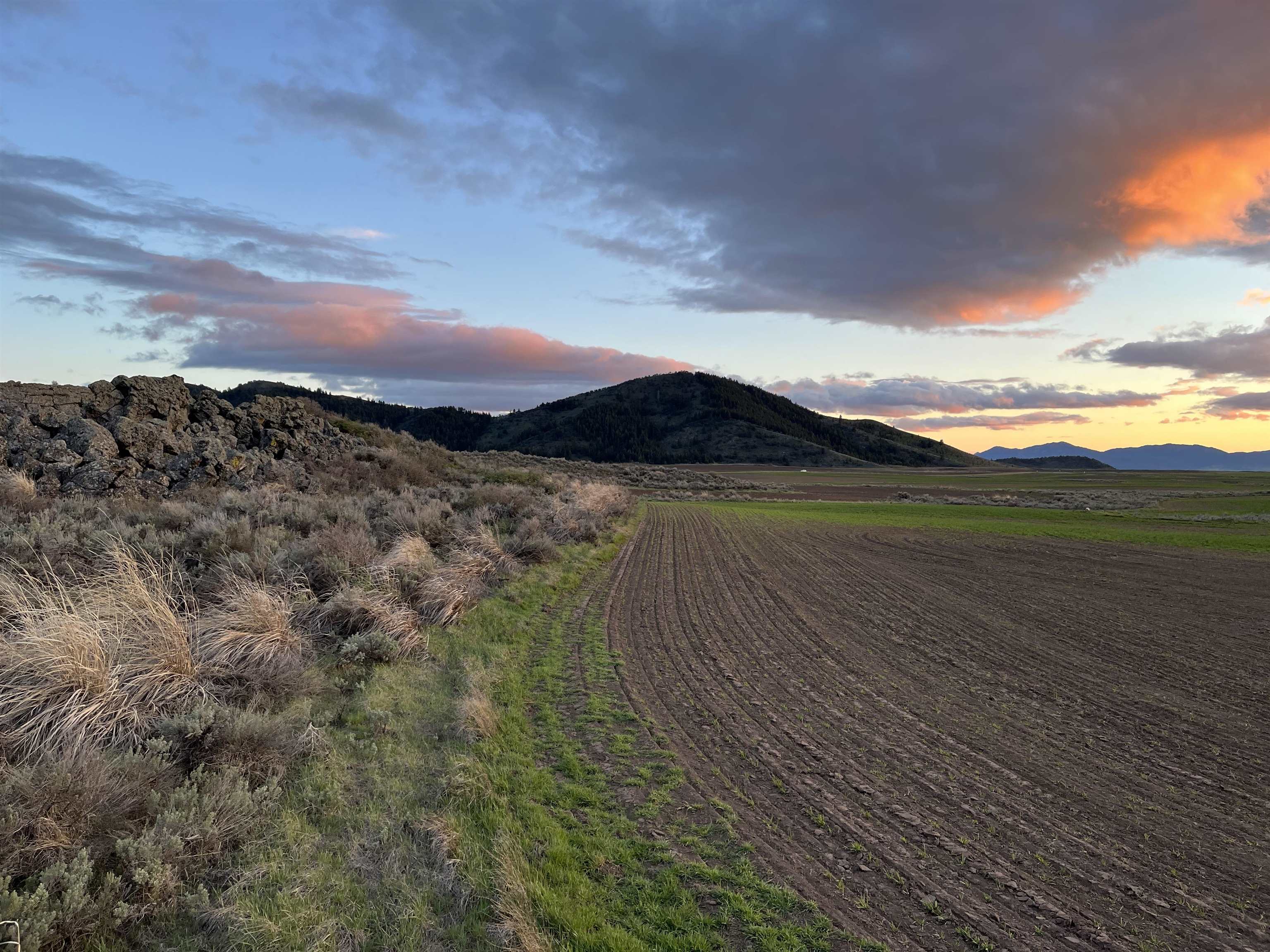 000 10 Mile Pass Road #INDIAN CREEK ROAD, Bancroft, Idaho image 27