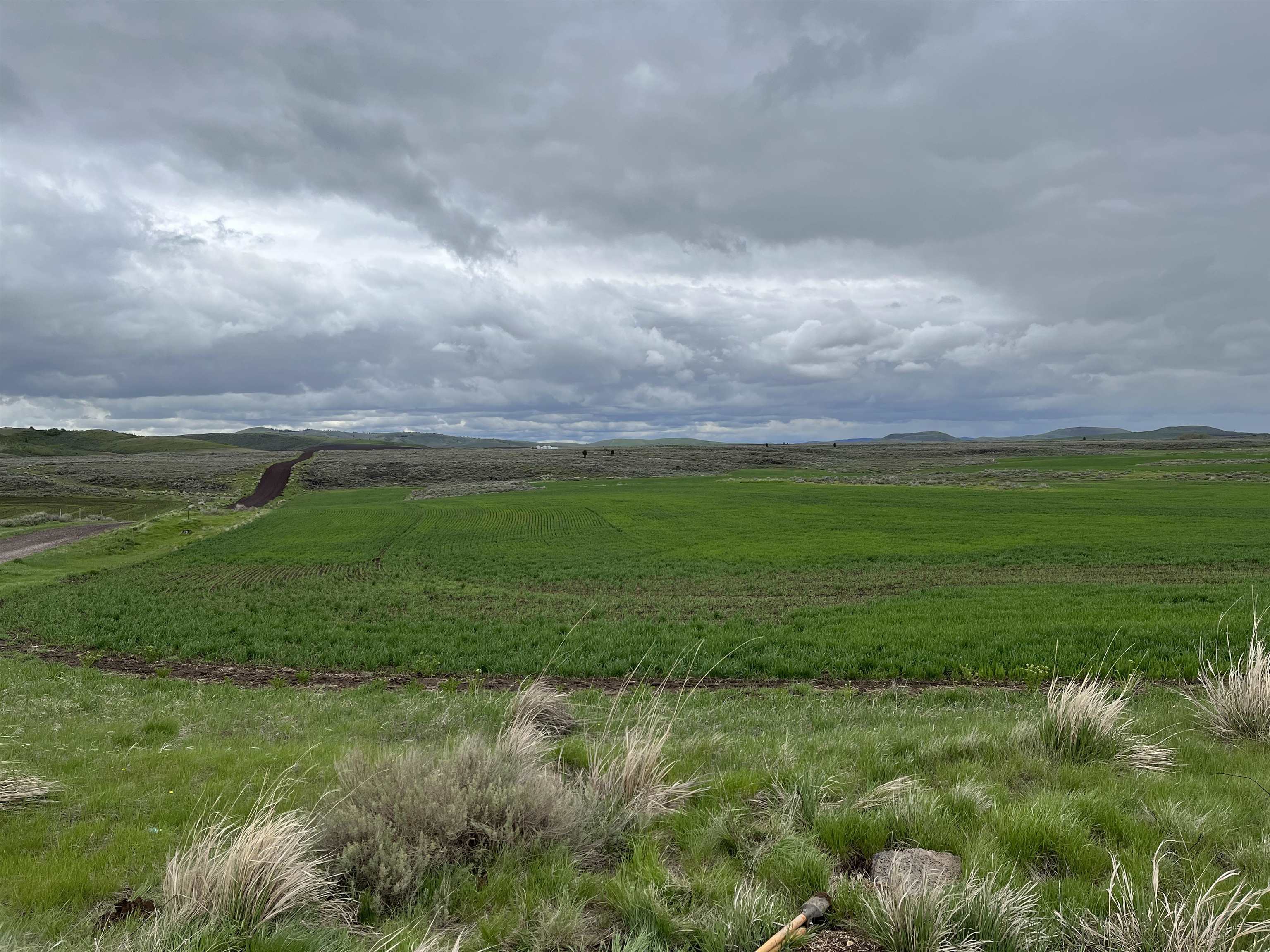 000 10 Mile Pass Road #INDIAN CREEK ROAD, Bancroft, Idaho image 33