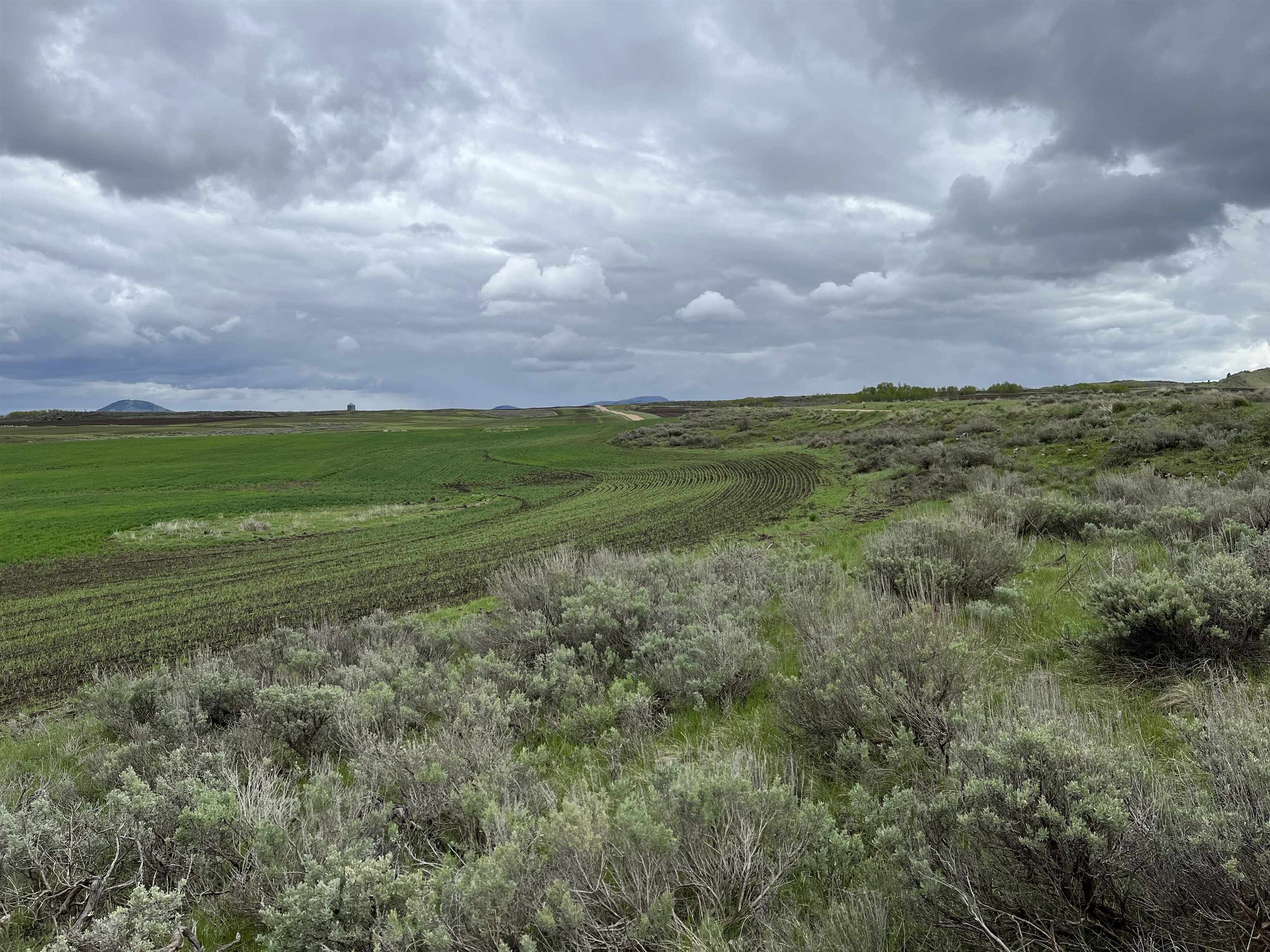 000 10 Mile Pass Road #INDIAN CREEK ROAD, Bancroft, Idaho image 38