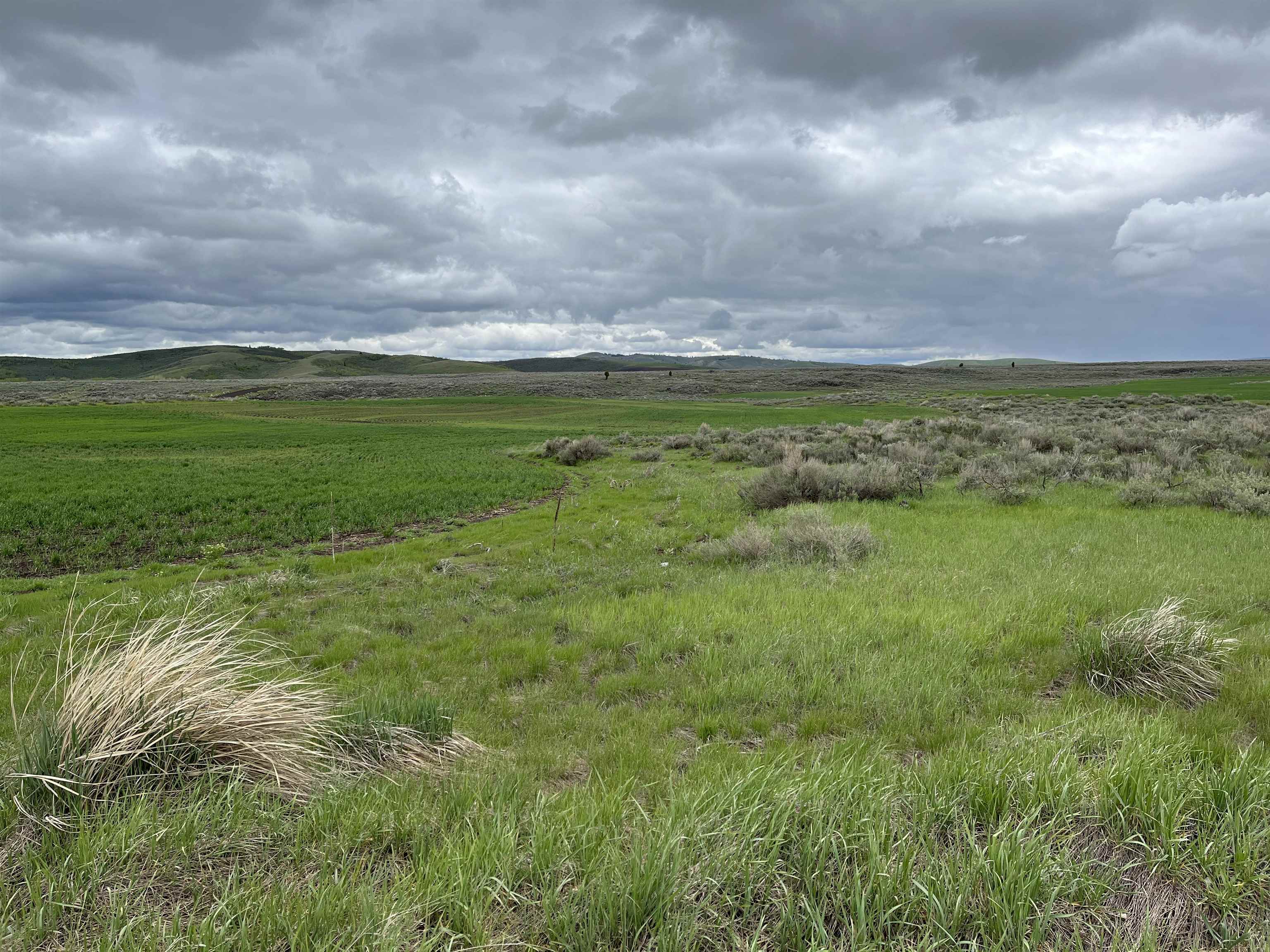 000 10 Mile Pass Road #INDIAN CREEK ROAD, Bancroft, Idaho image 34