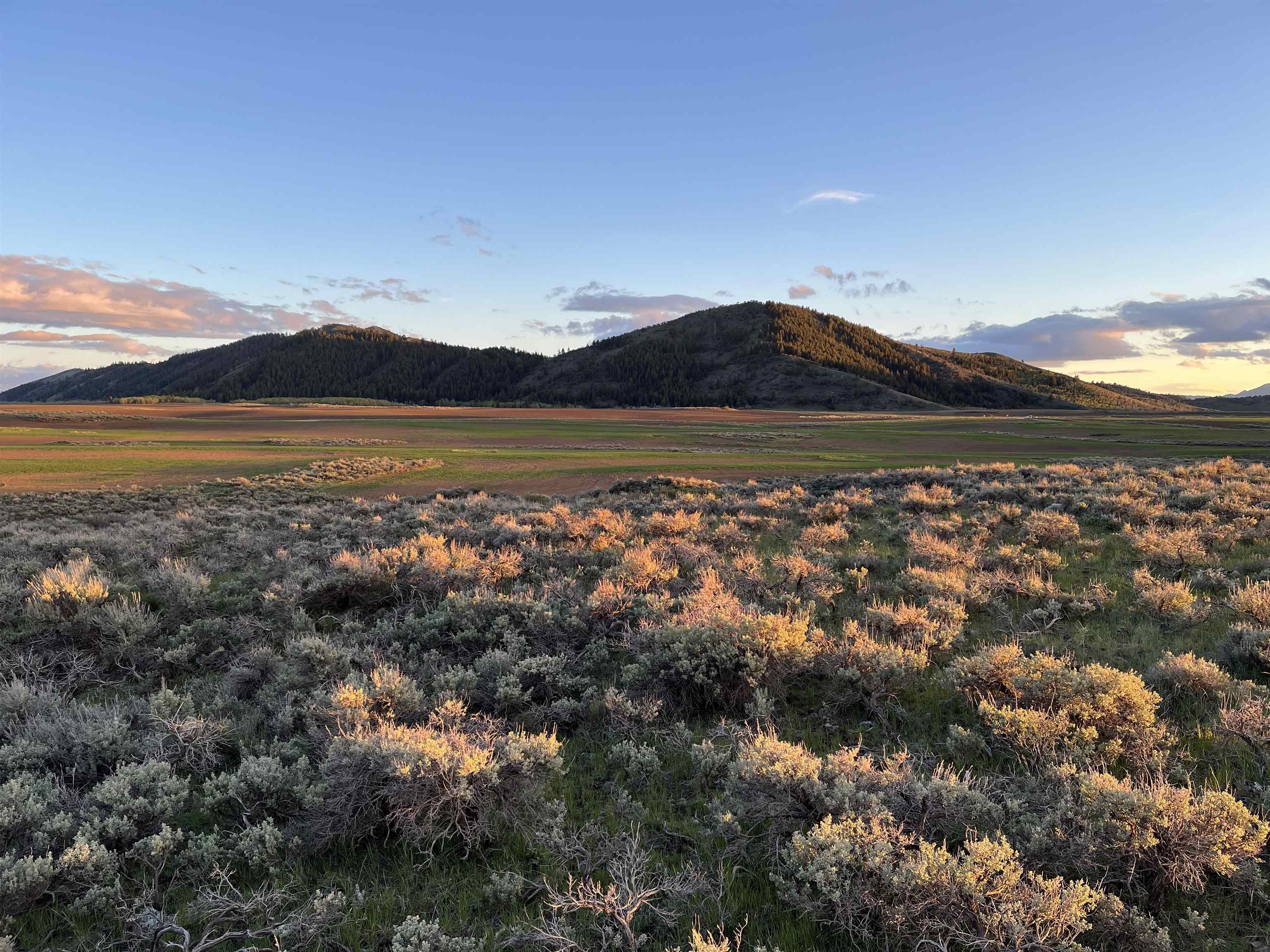 000 10 Mile Pass Road #INDIAN CREEK ROAD, Bancroft, Idaho image 18