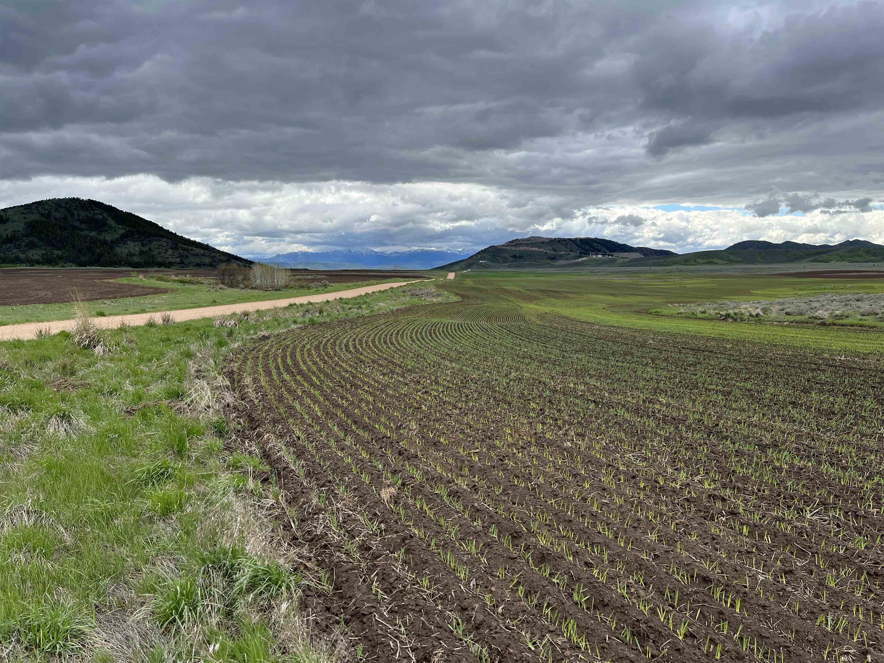 000 10 Mile Pass Road #INDIAN CREEK ROAD, Bancroft, Idaho image 39