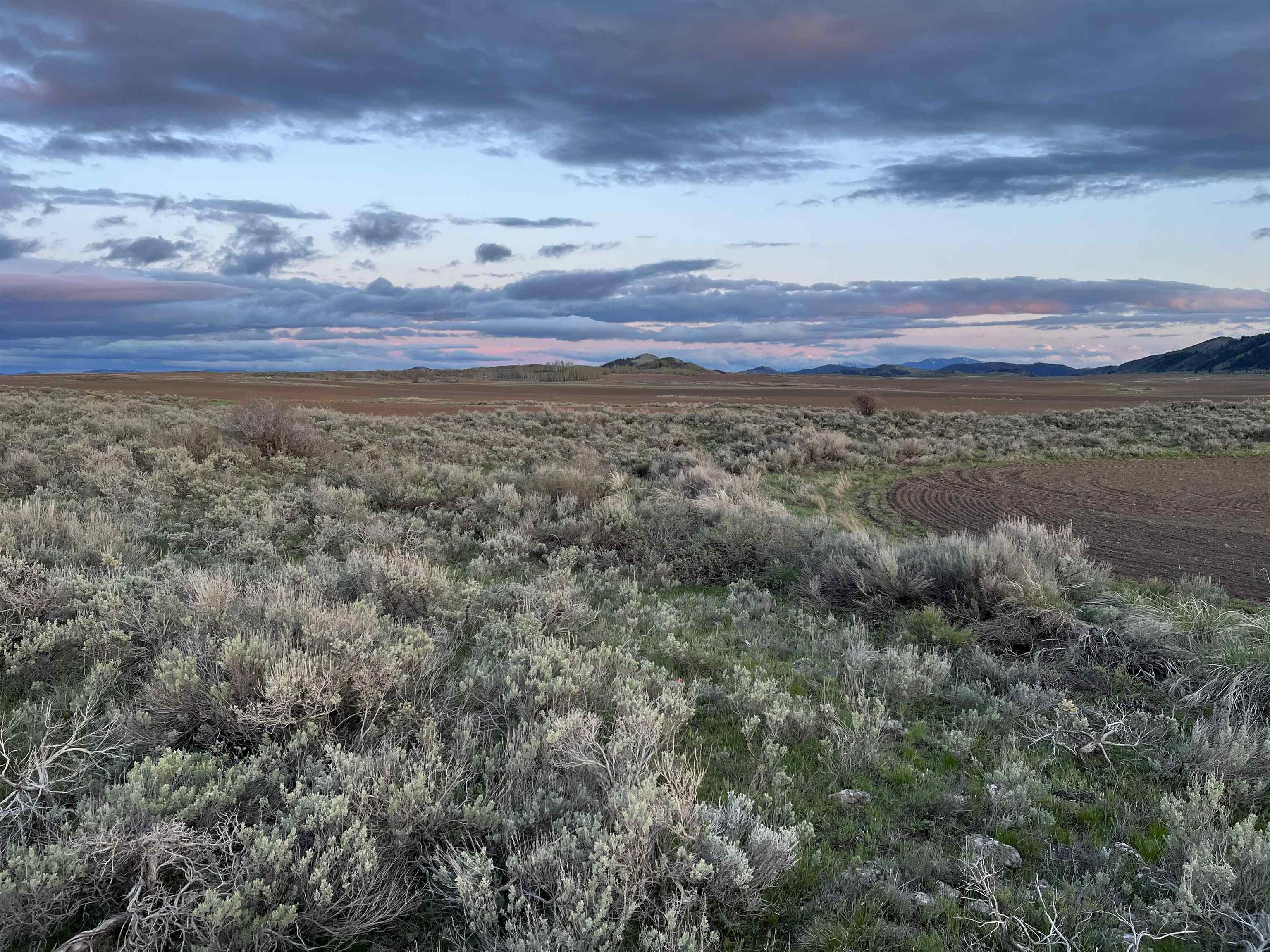 000 10 Mile Pass Road #INDIAN CREEK ROAD, Bancroft, Idaho image 30