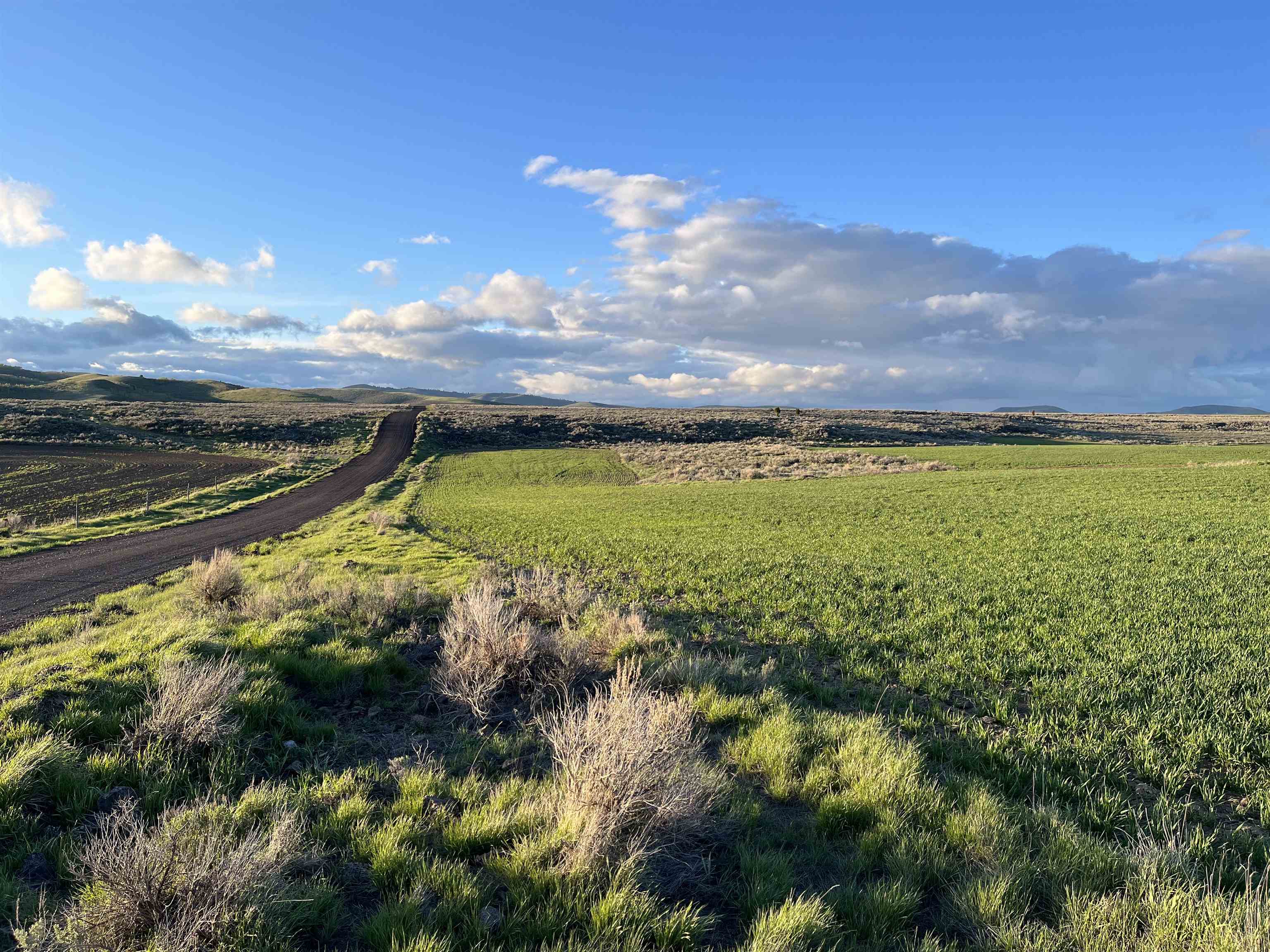 000 10 Mile Pass Road #INDIAN CREEK ROAD, Bancroft, Idaho image 11