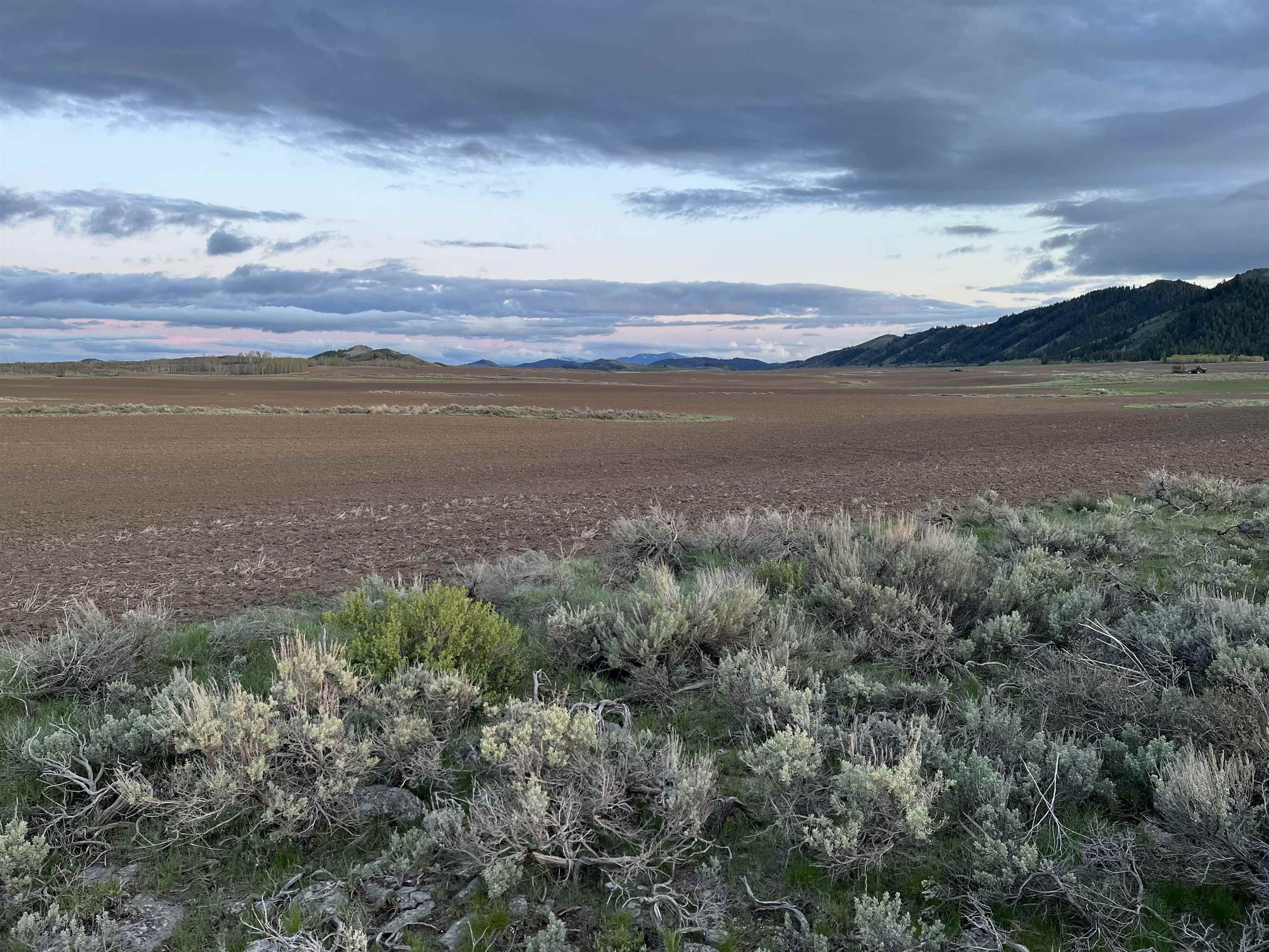 000 10 Mile Pass Road #INDIAN CREEK ROAD, Bancroft, Idaho image 32