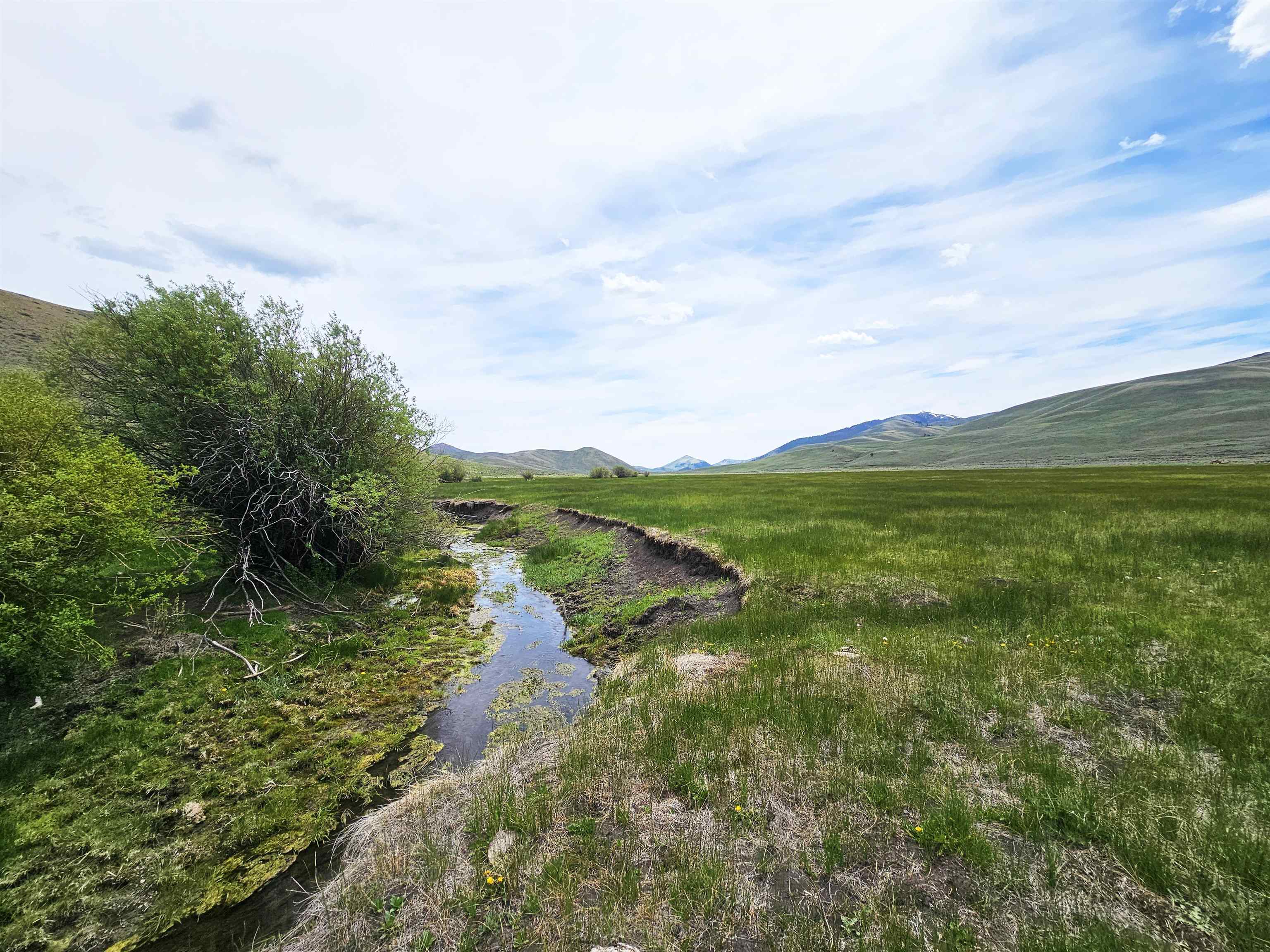 Lot 7 Dry Fork Rd, Moore, Idaho image 12