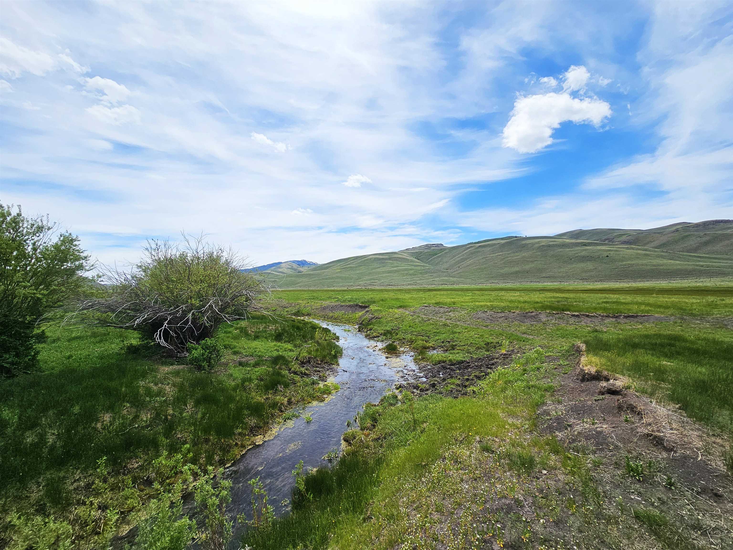Lot 7 Dry Fork Rd, Moore, Idaho image 2