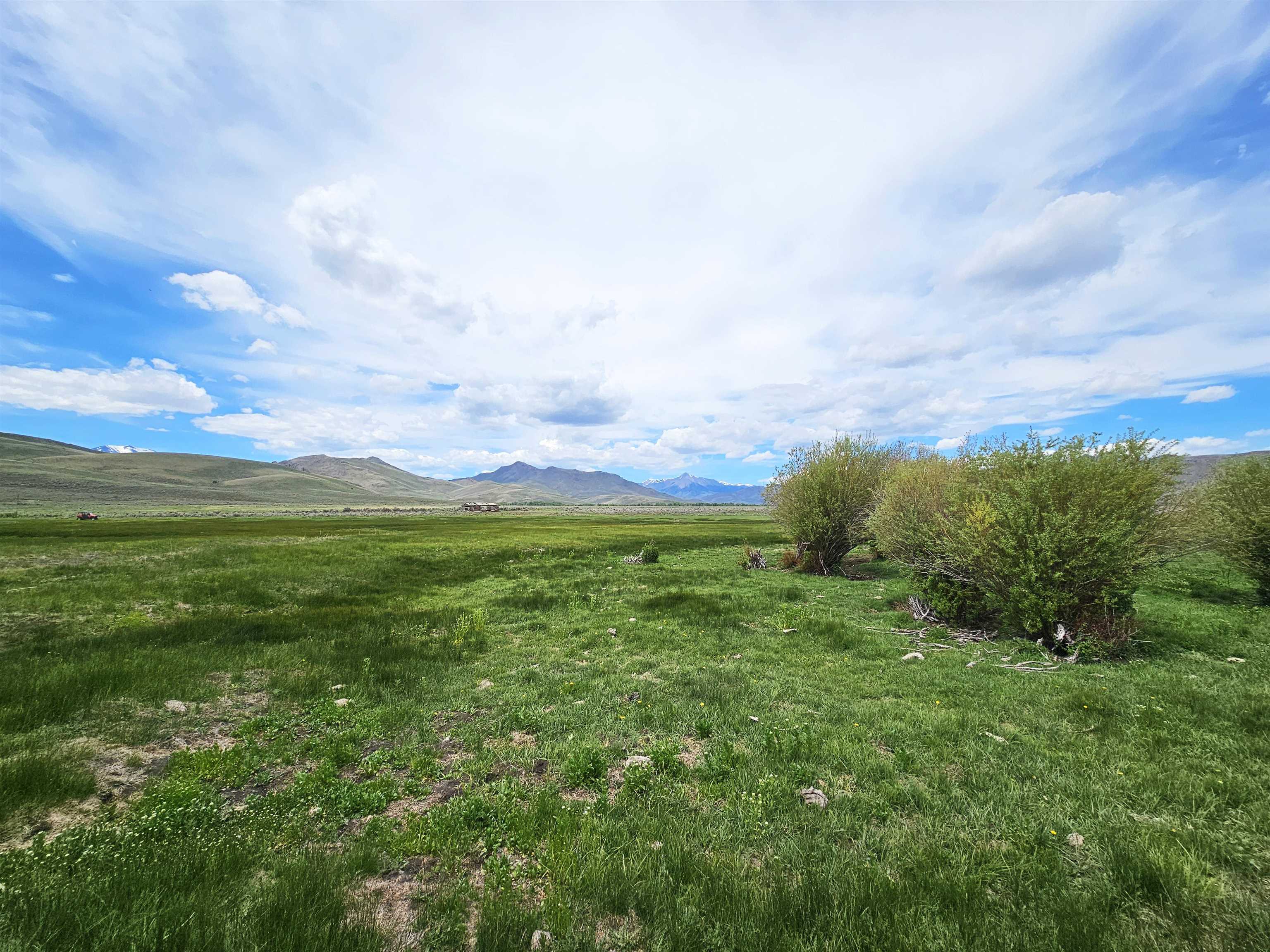 Lot 7 Dry Fork Rd, Moore, Idaho image 4