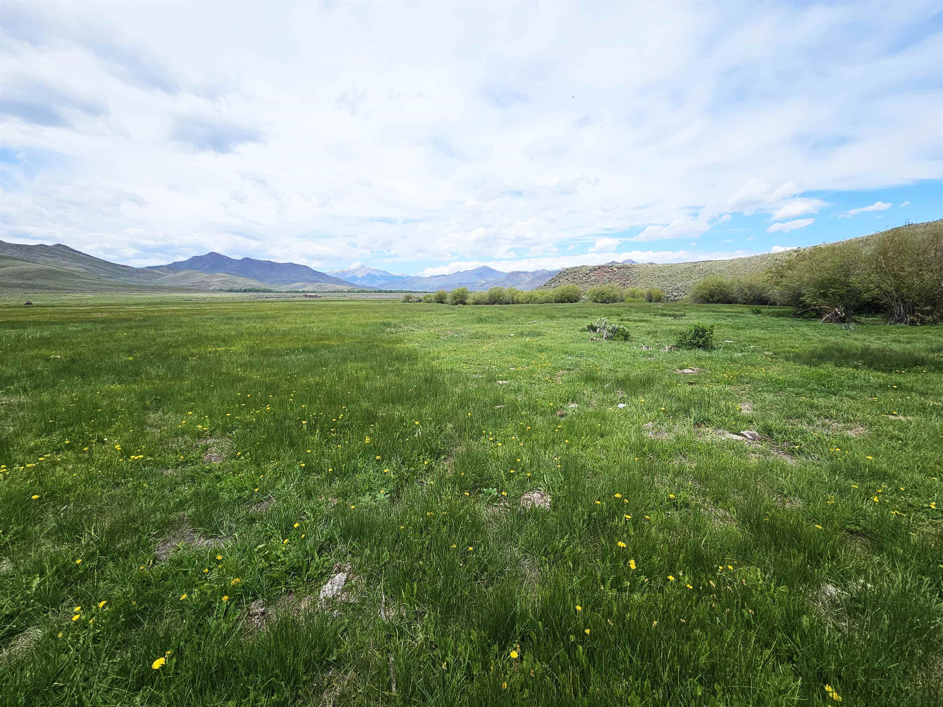 Lot 7 Dry Fork Rd, Moore, Idaho image 17