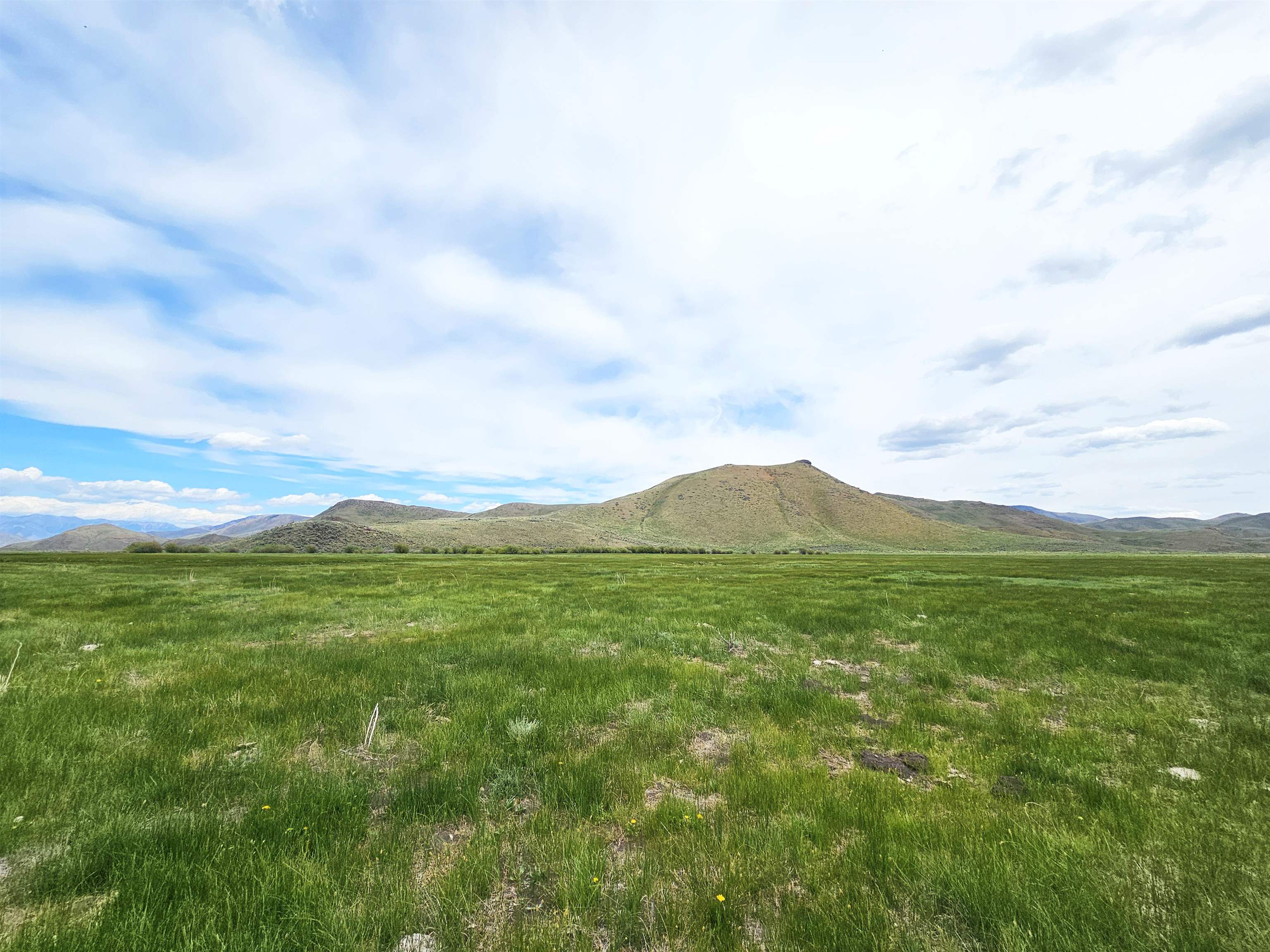 Lot 7 Dry Fork Rd, Moore, Idaho image 18