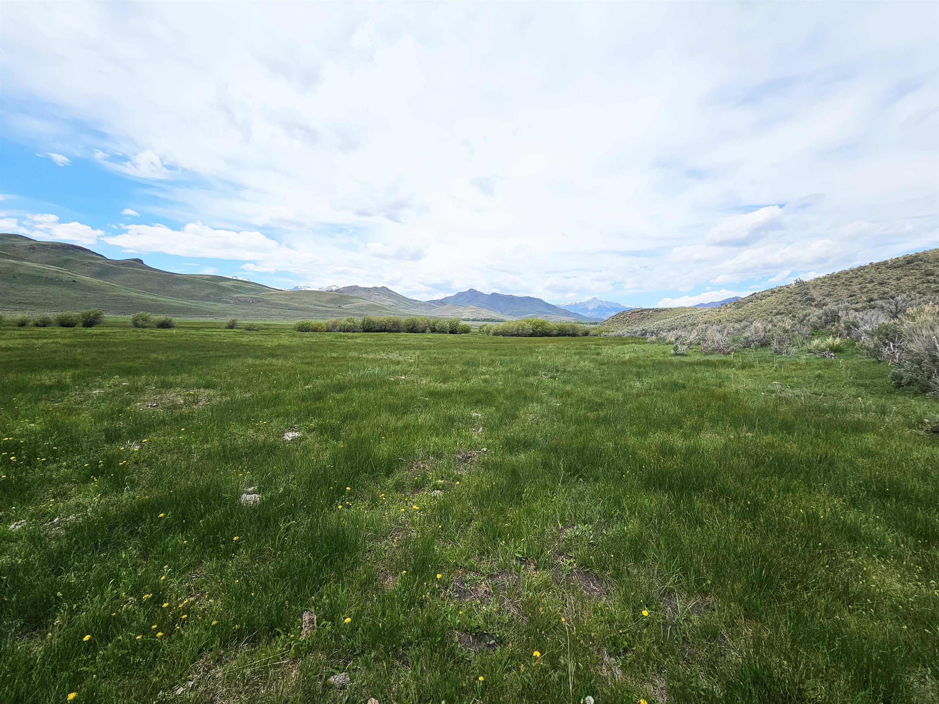 Lot 7 Dry Fork Rd, Moore, Idaho image 20
