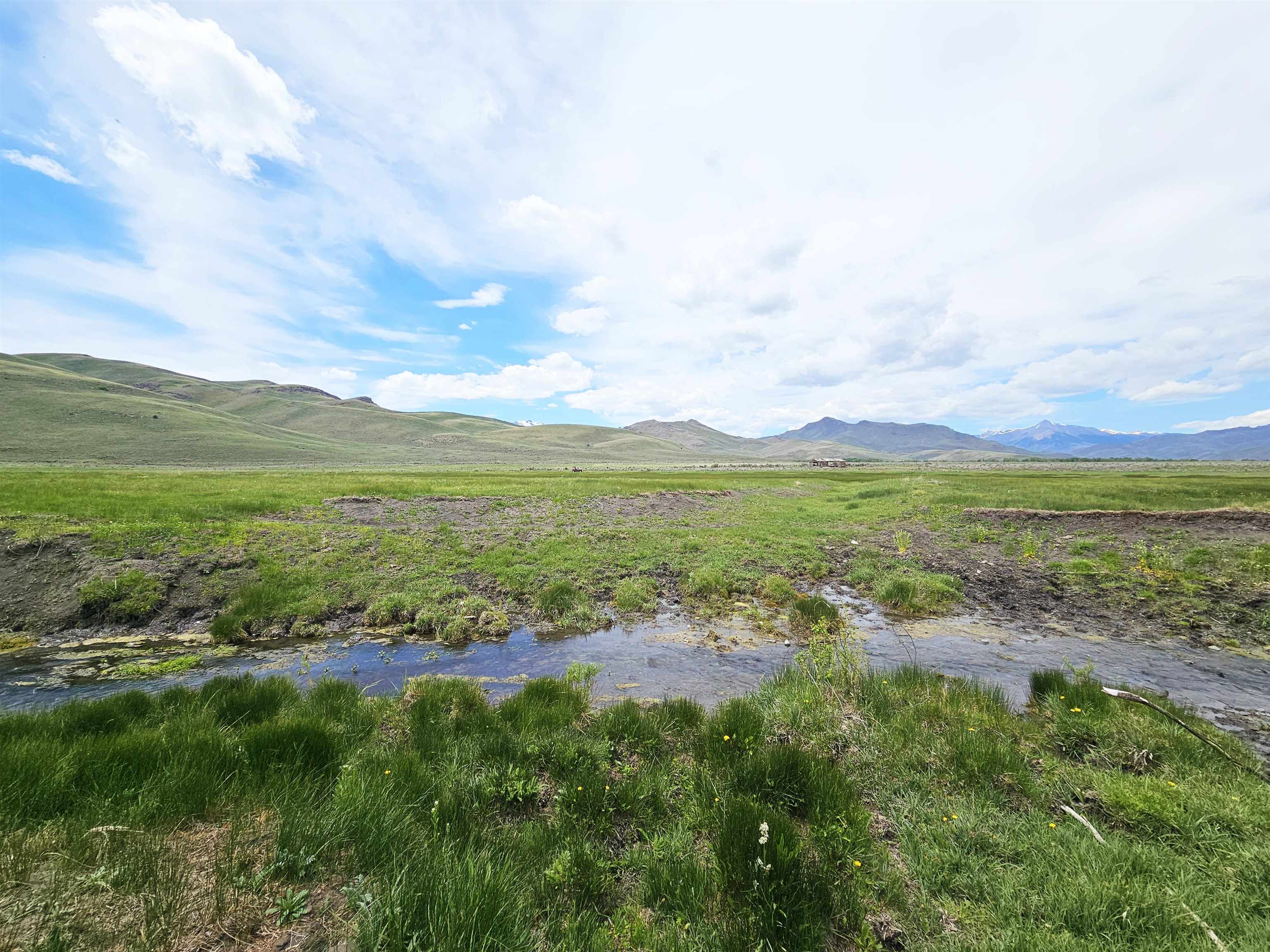 Lot 7 Dry Fork Rd, Moore, Idaho image 8