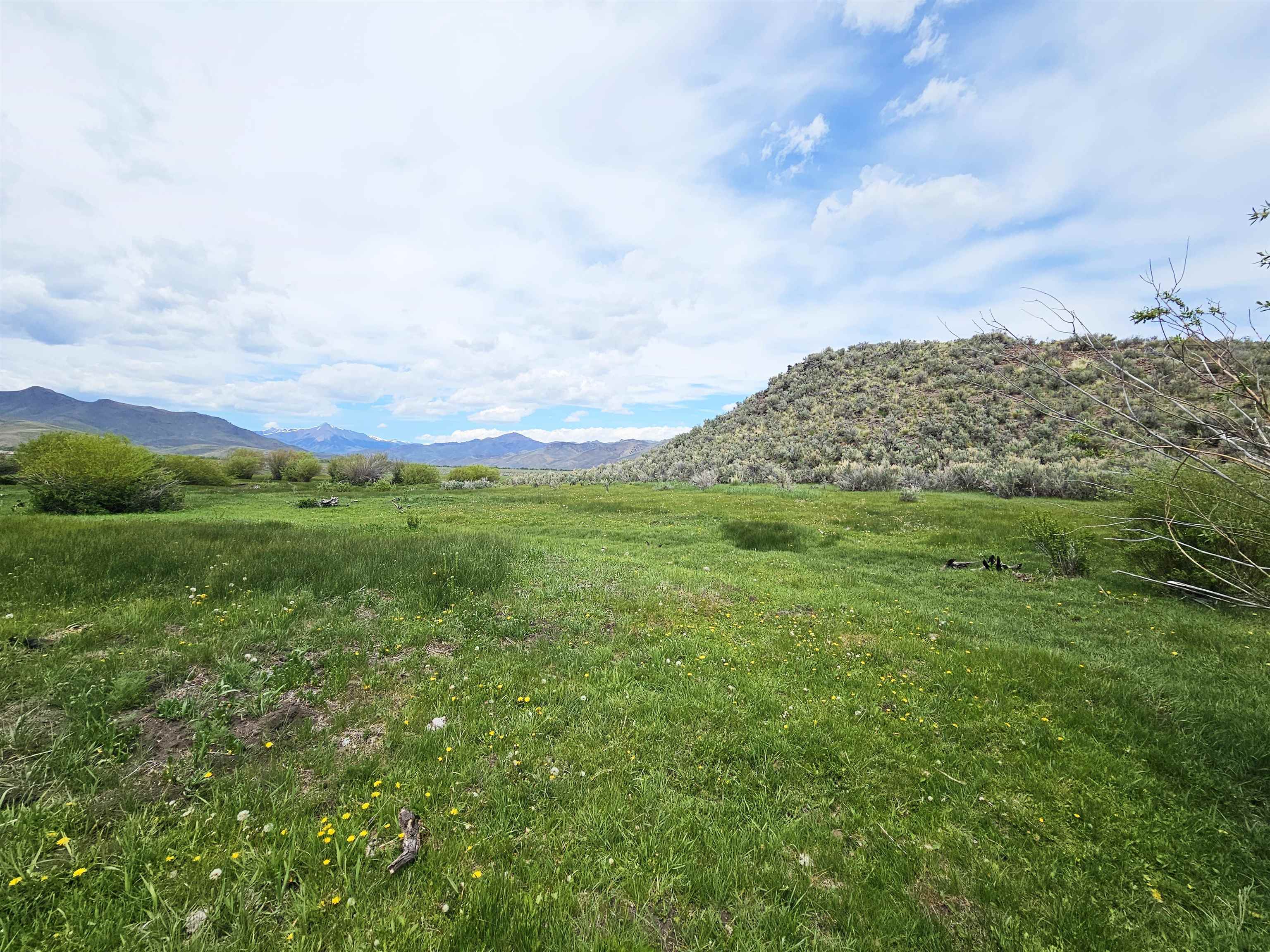Lot 7 Dry Fork Rd, Moore, Idaho image 11