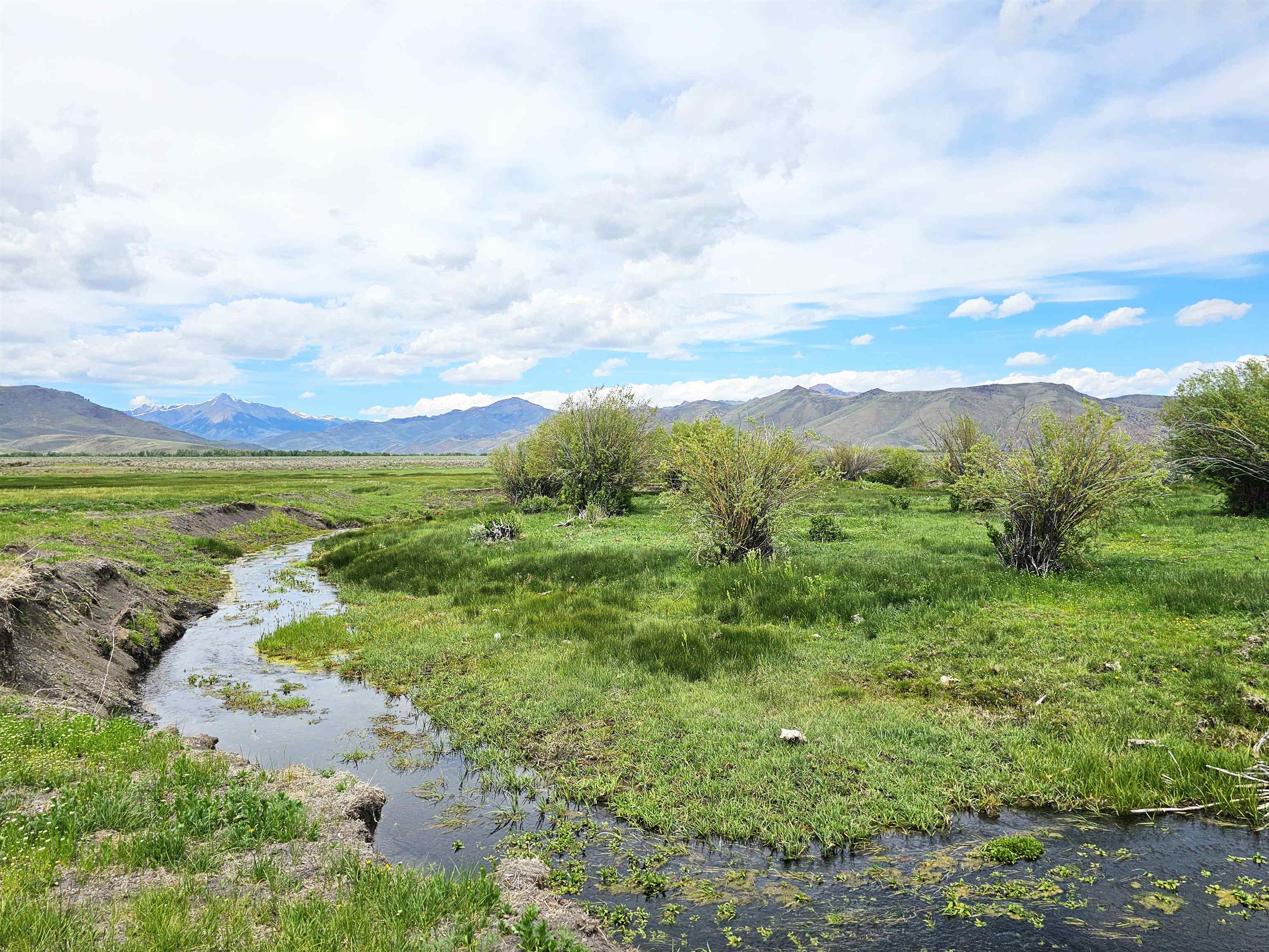 Lot 7 Dry Fork Rd, Moore, Idaho image 10