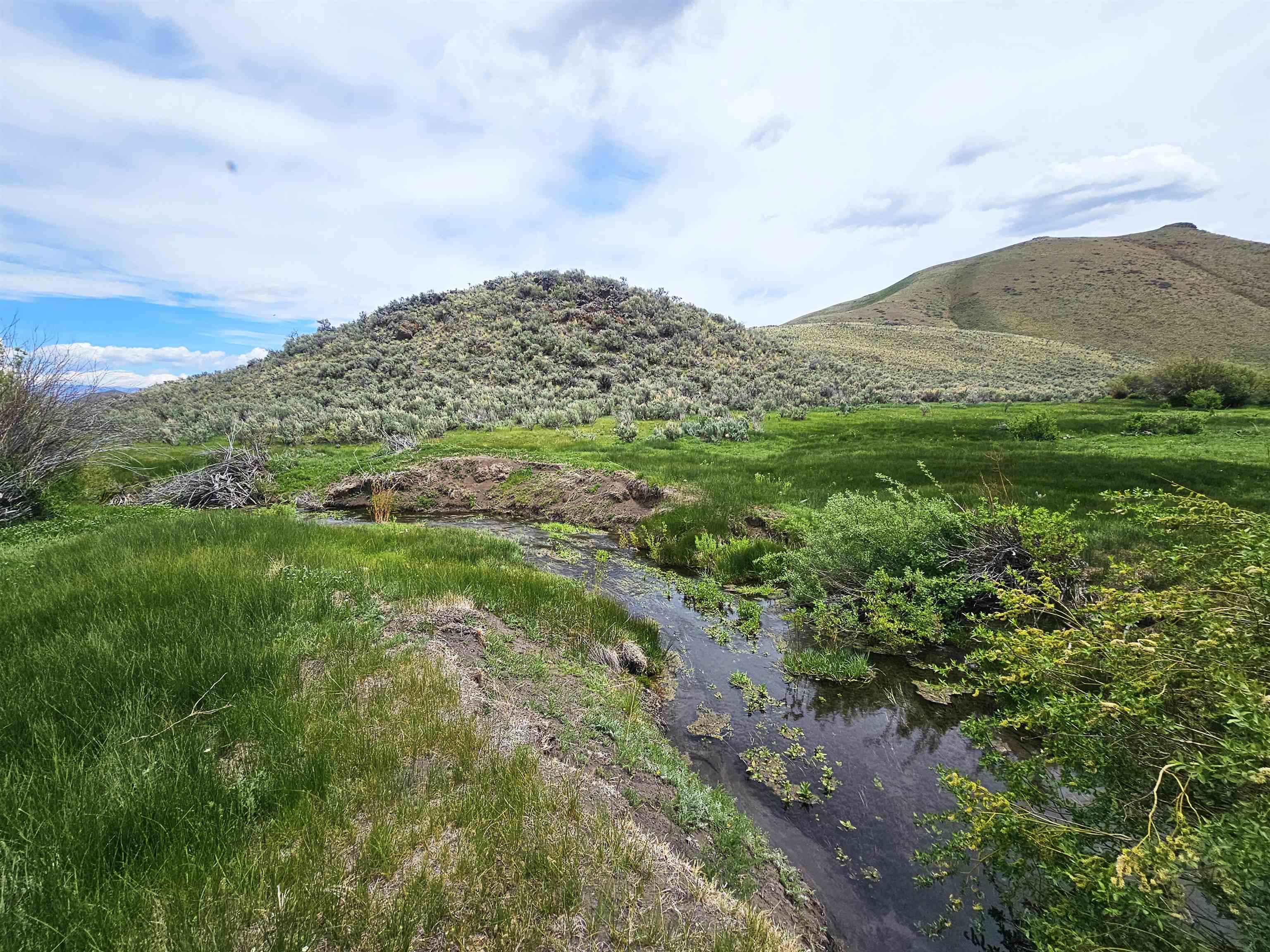 Lot 7 Dry Fork Rd, Moore, Idaho image 3