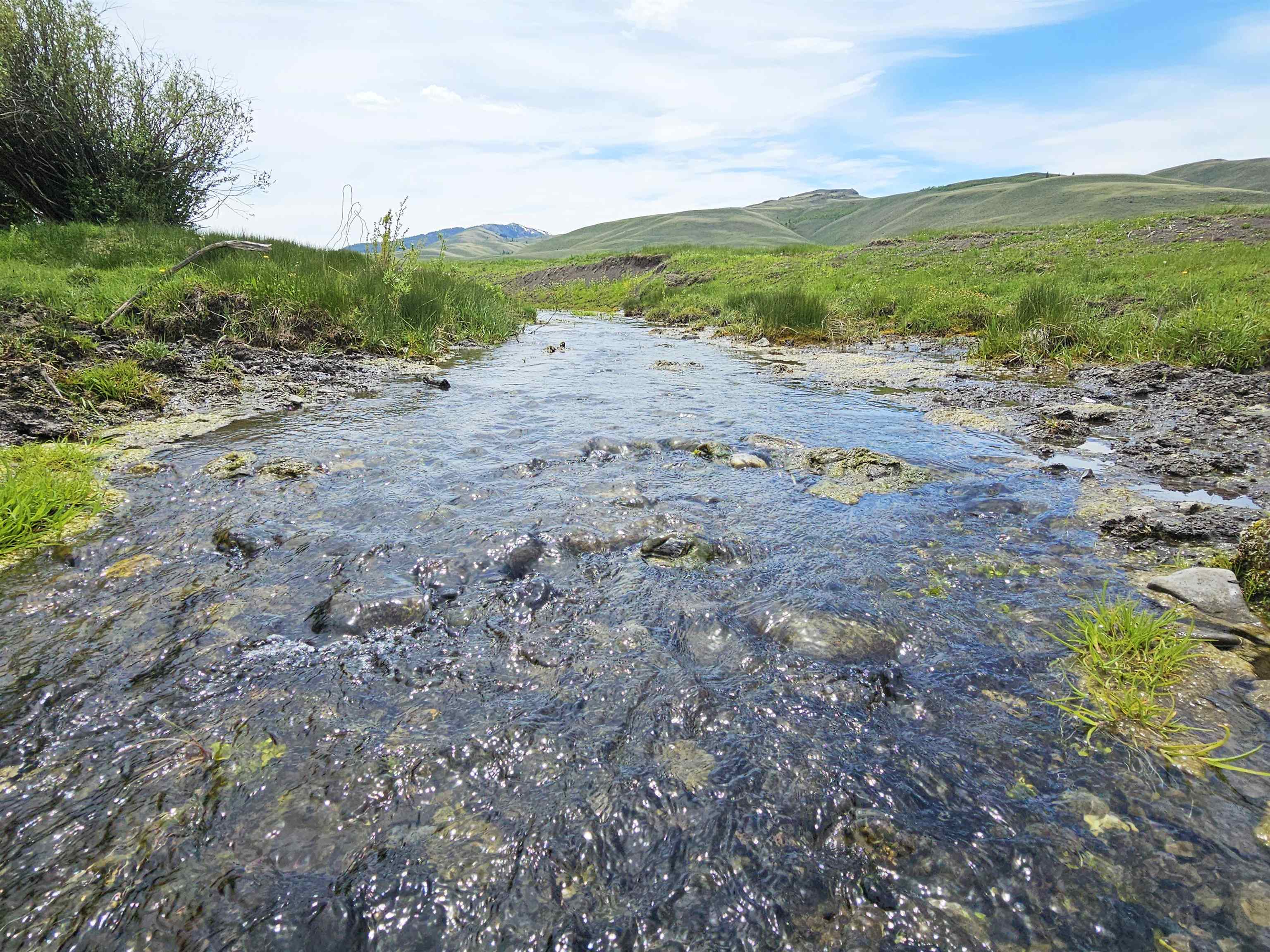 Lot 7 Dry Fork Rd, Moore, Idaho image 9