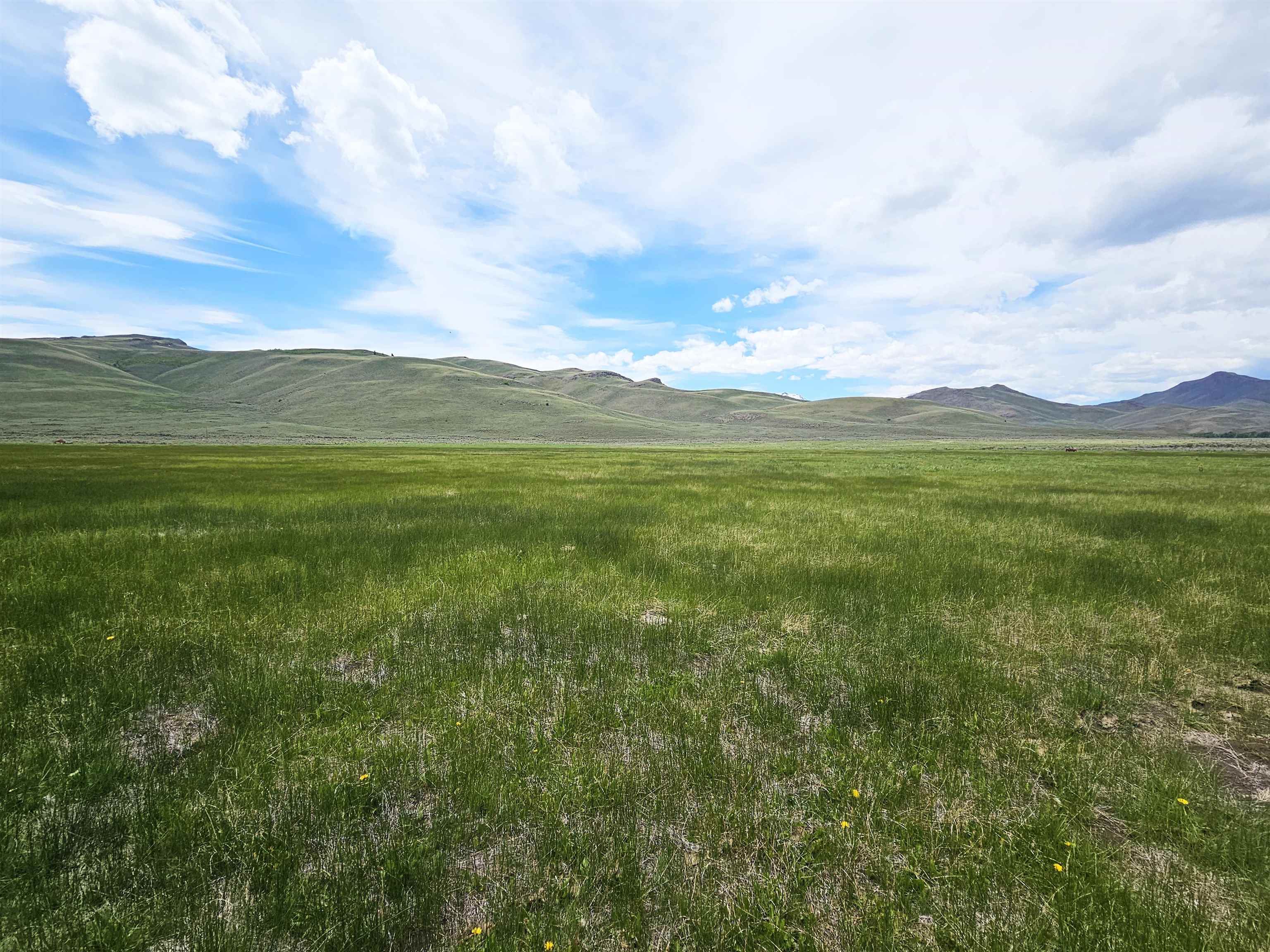 Lot 7 Dry Fork Rd, Moore, Idaho image 14