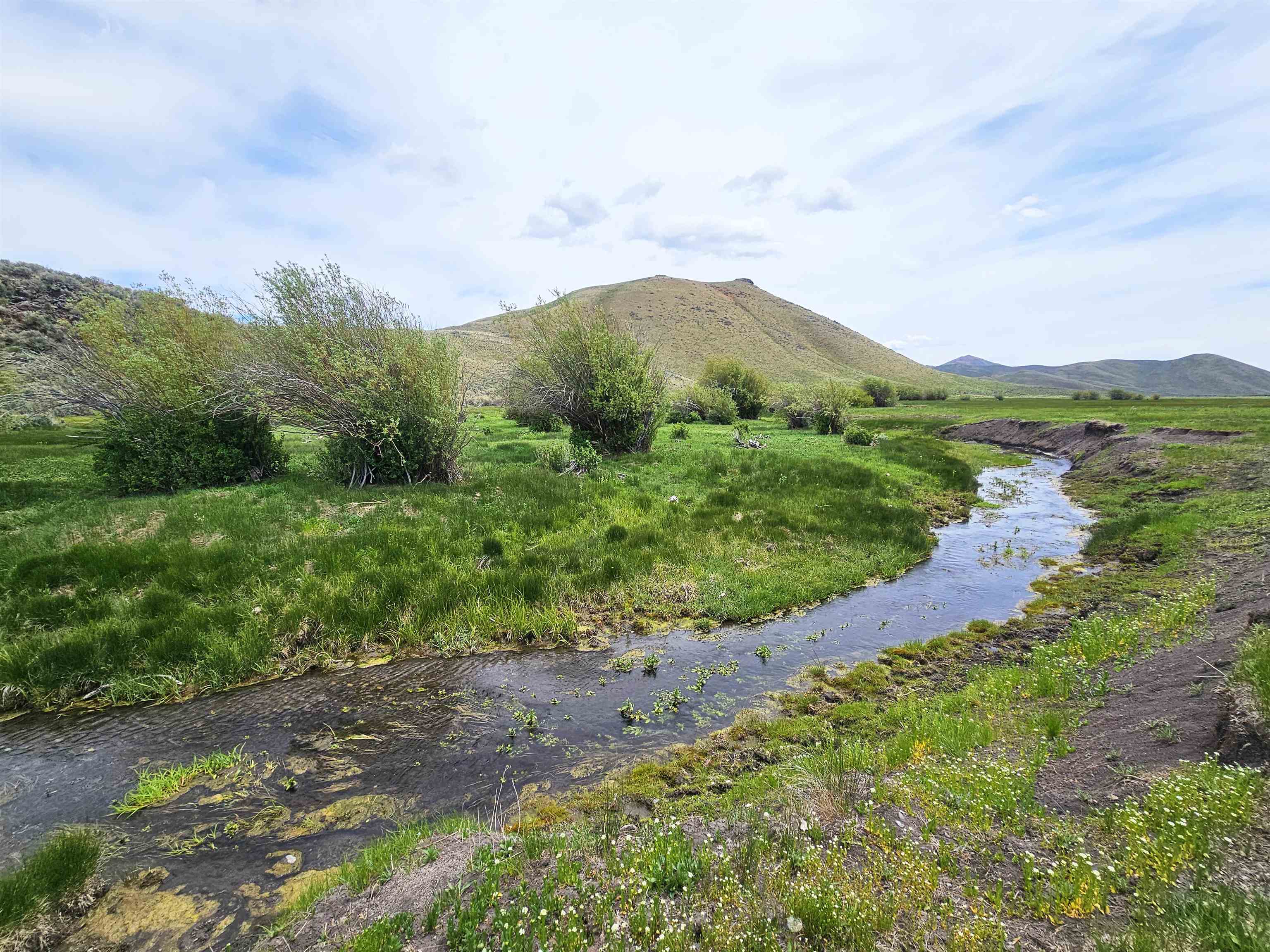 Lot 7 Dry Fork Rd, Moore, Idaho image 5