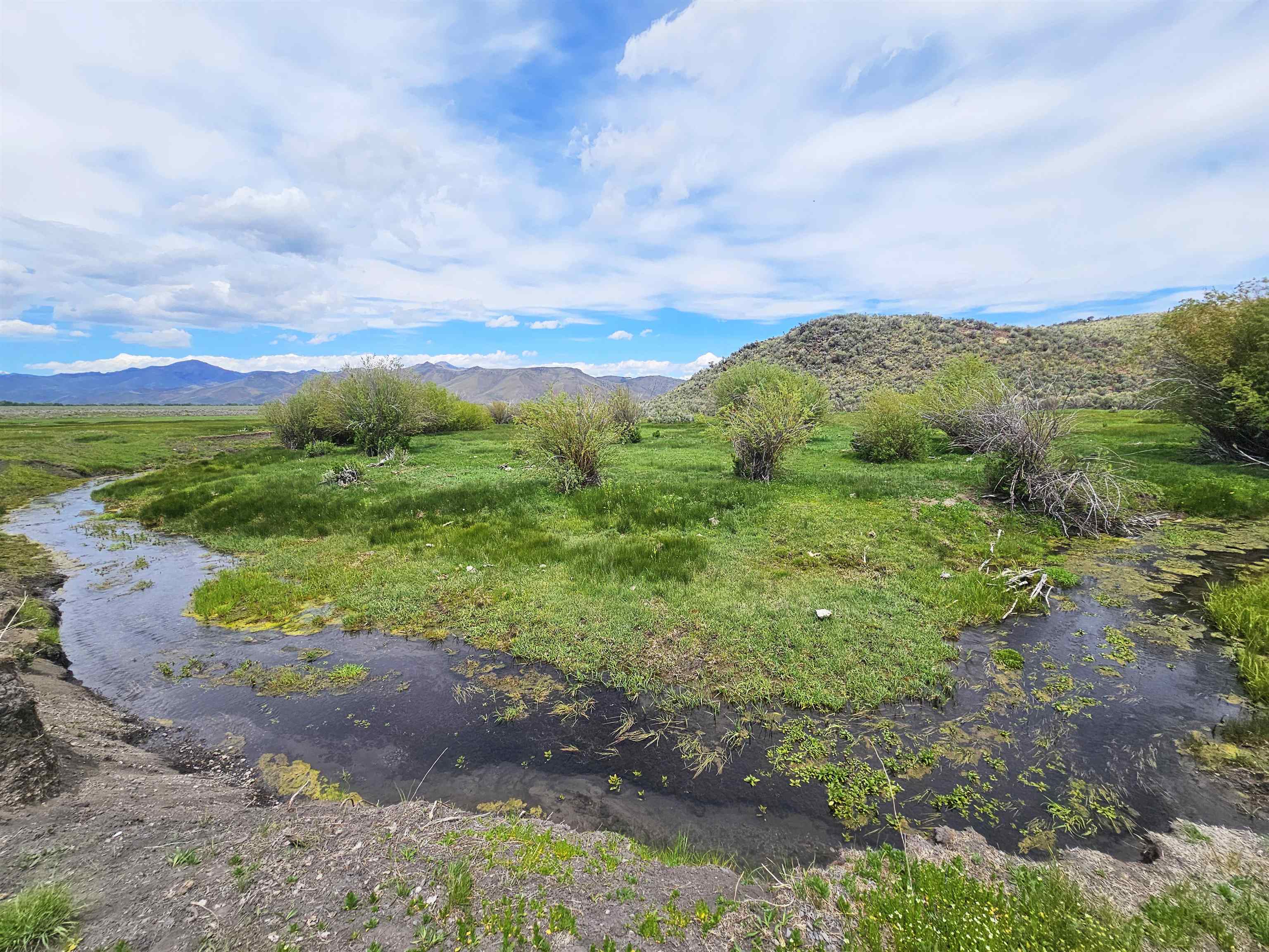 Lot 7 Dry Fork Rd, Moore, Idaho image 7