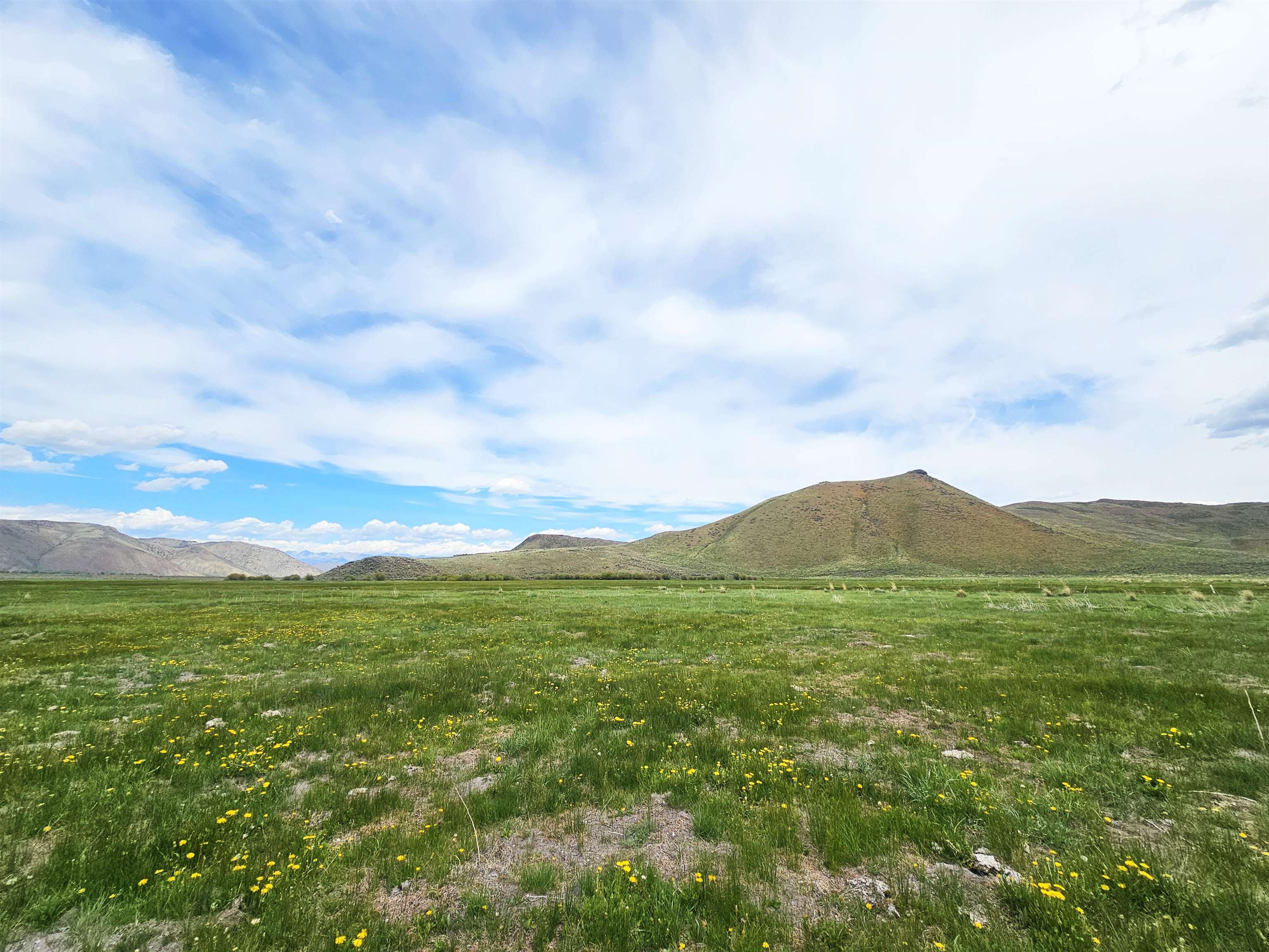 Lot 7 Dry Fork Rd, Moore, Idaho image 19
