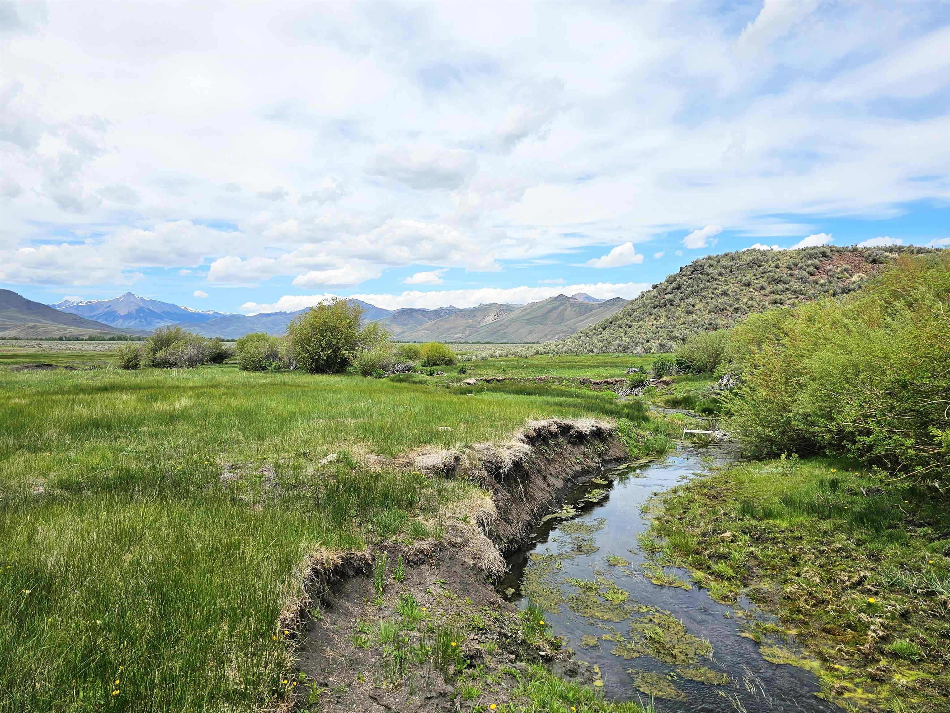 Lot 7 Dry Fork Rd, Moore, Idaho image 13